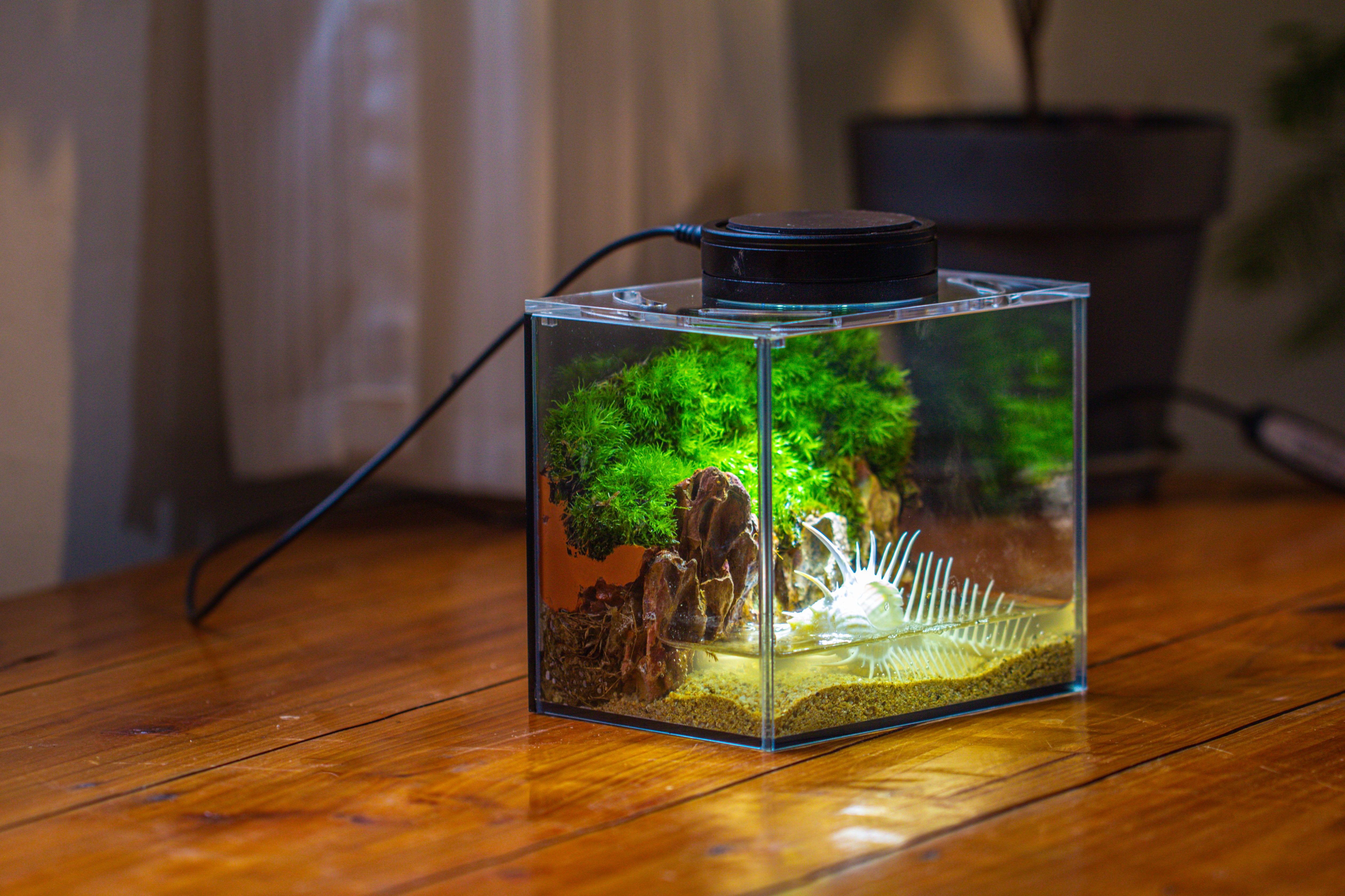 Watertight Glass Terrarium with LED Grow Light, Acrylic Lid for Moss Wall, vertical planting-15x11x13cm / 5.9x4.3x5.1'' - NCYPgarden