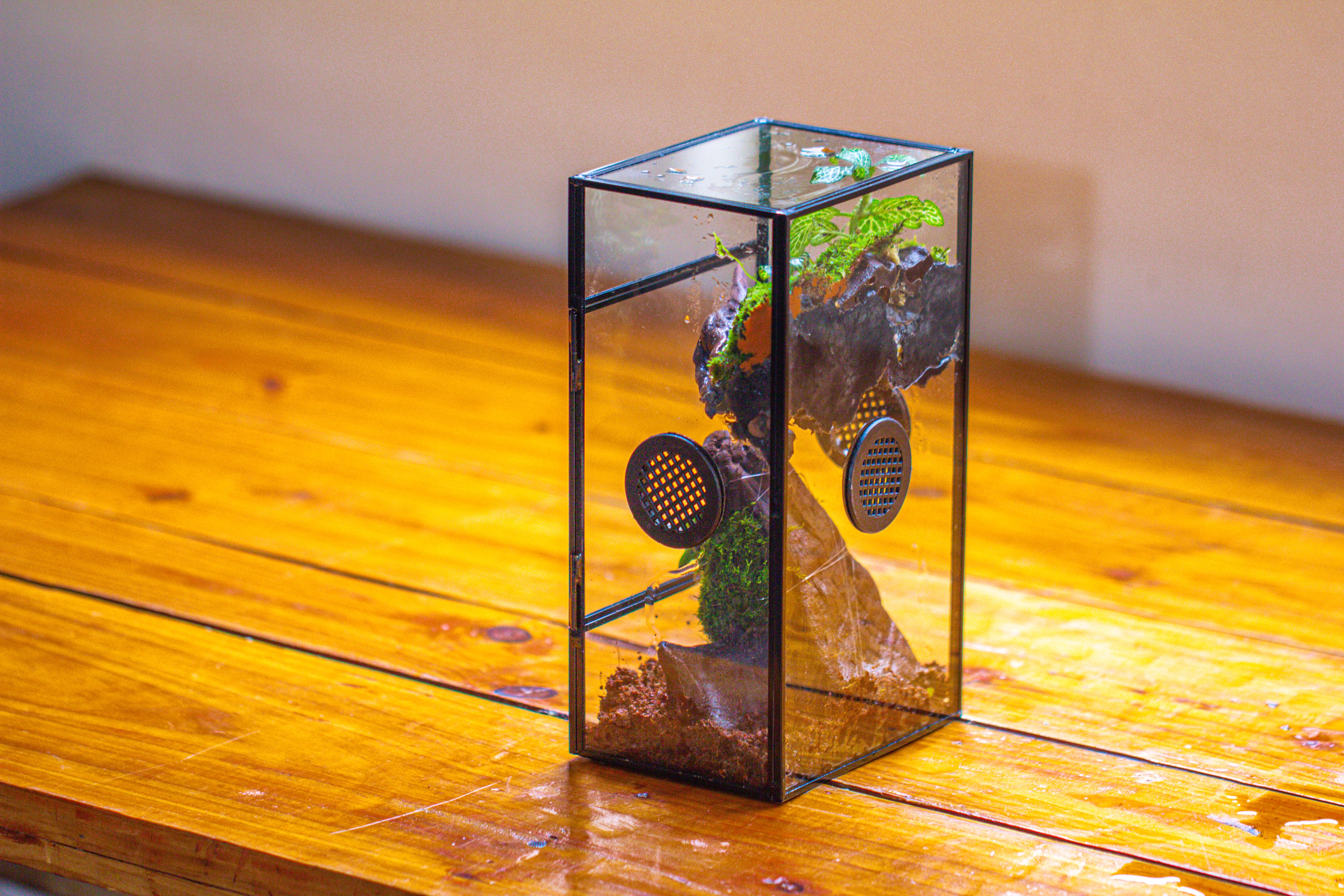 Glass Rectangle Terrarium Enclosure  for Small Insect, Jumping Spider, Snail - NCYPgarden