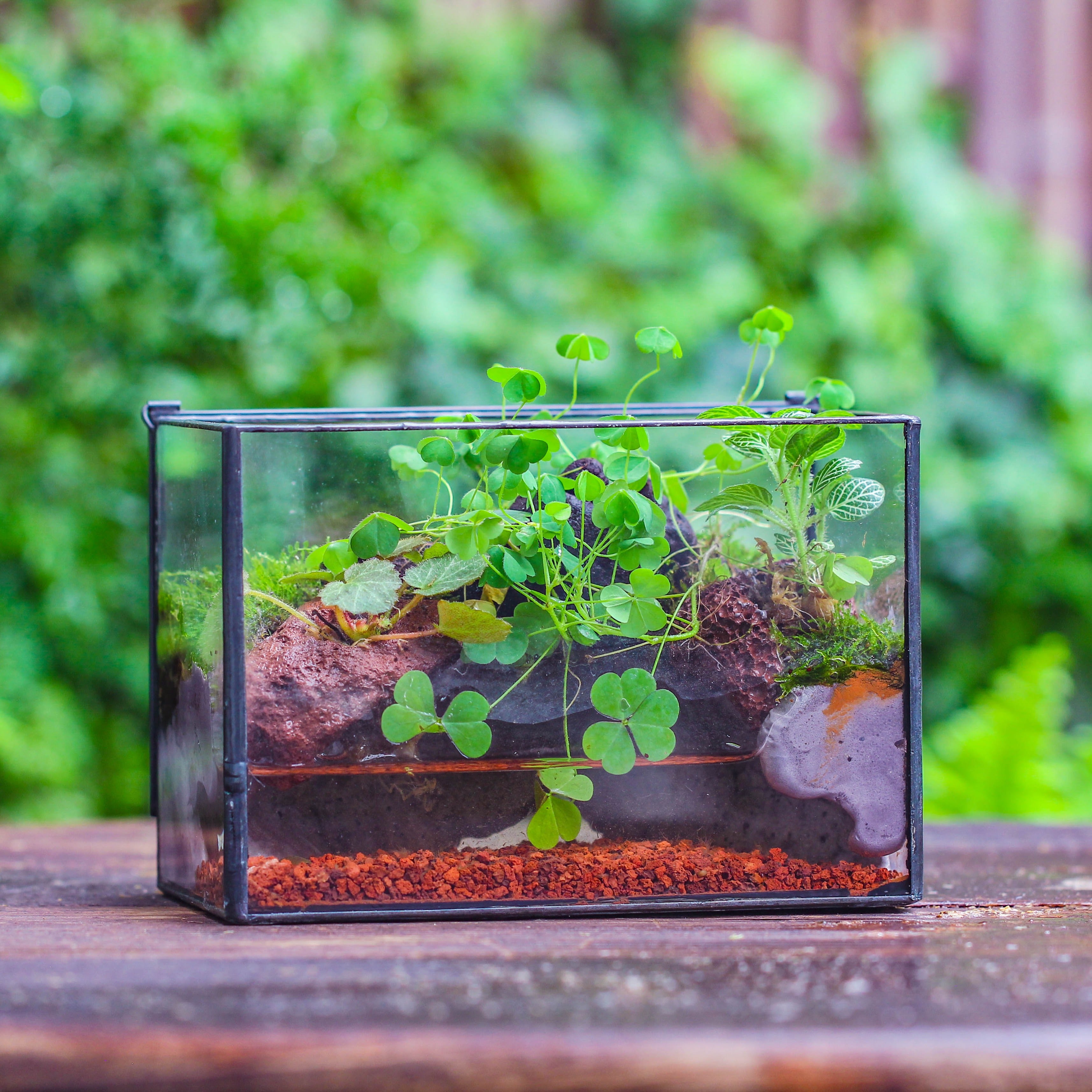 NCYP Watertight Close Small Rectangle Geometric Glass Tin Terrarium, for small waterpond, moss landscape, Live Miniature, water pond - NCYPgarden