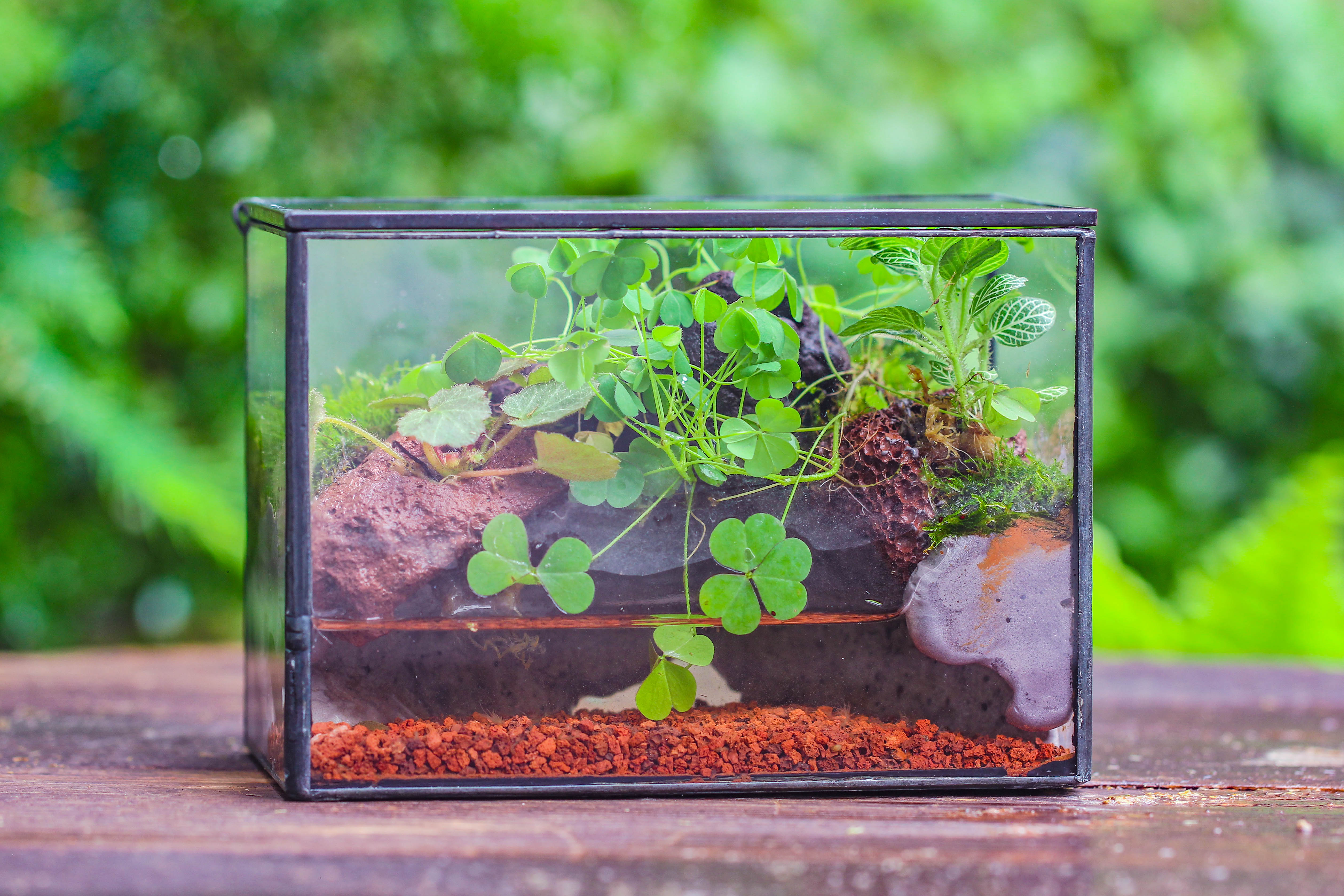 NCYP Watertight Close Small Rectangle Geometric Glass Tin Terrarium, for small waterpond, moss landscape, Live Miniature, water pond - NCYPgarden