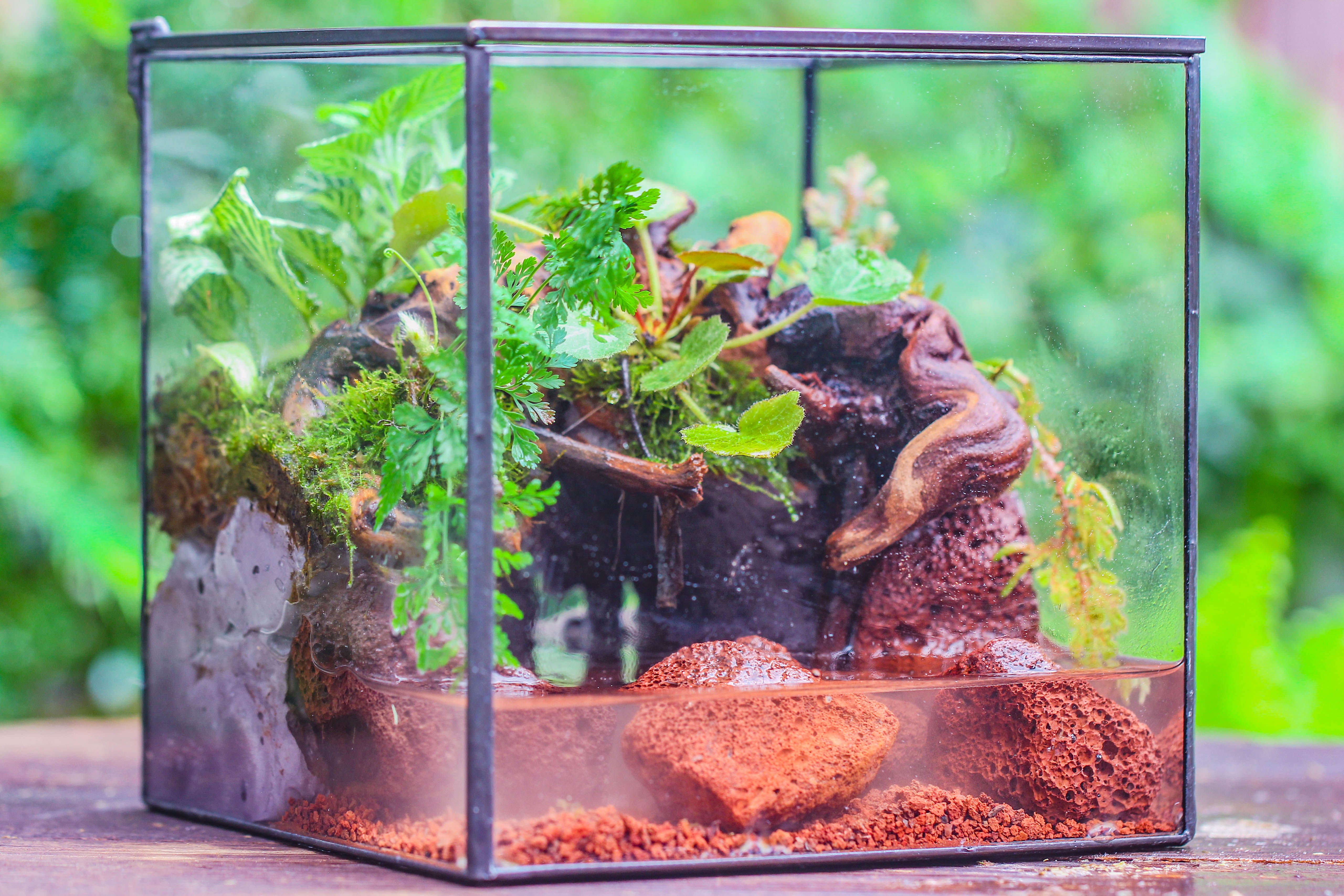 NCYP Watertight Close Cube 7" Geometric Glass Tin Terrarium, for small waterpond, moss landscape, Live Miniature, water pond, landscape - NCYPgarden