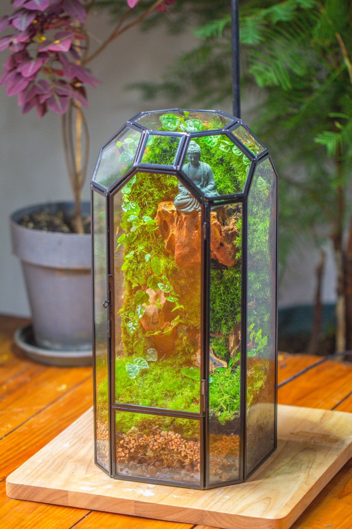 Vintage Tall Octagon Geometric Glass Terrarium , 12.6" , close, suitable for tall plants, orchid, small begonia Pitcher, Micro landscape - NCYPgarden