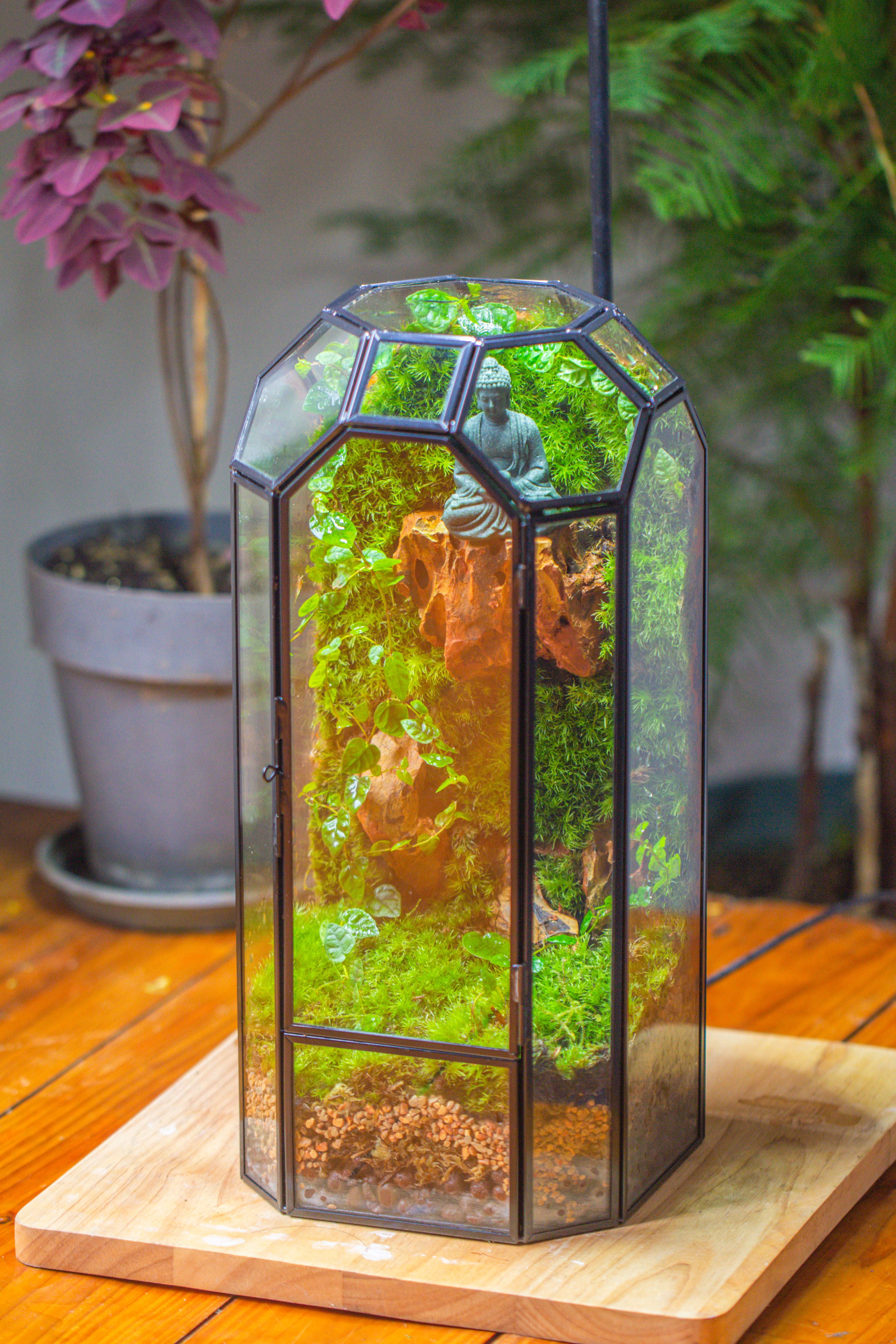 Vintage Tall Octagon Geometric Glass Terrarium , 12.6" , close, suitable for tall plants, orchid, small begonia Pitcher, Micro landscape - NCYPgarden