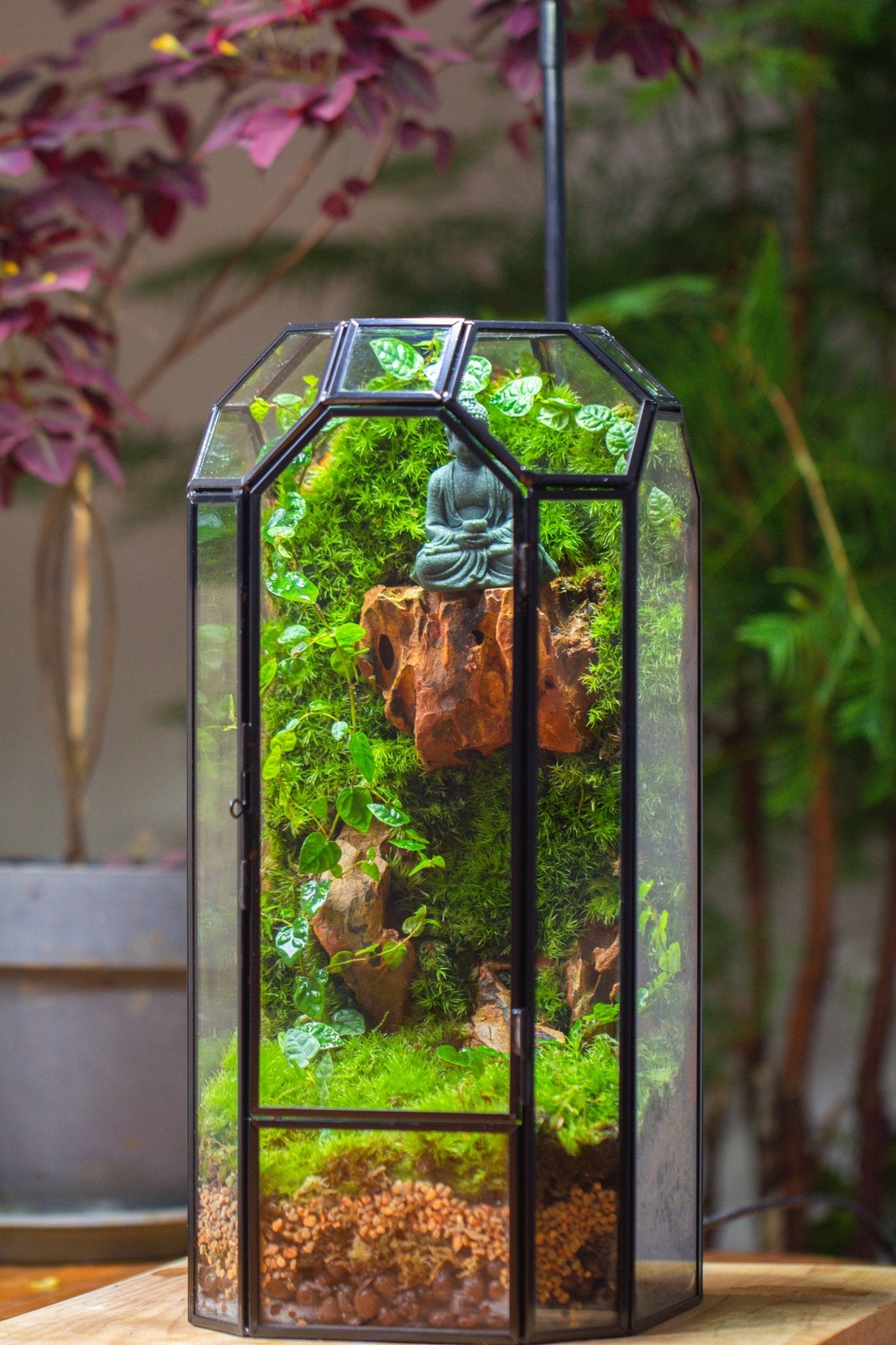 Vintage Tall Octagon Geometric Glass Terrarium , 12.6" , close, suitable for tall plants, orchid, small begonia Pitcher, Micro landscape - NCYPgarden