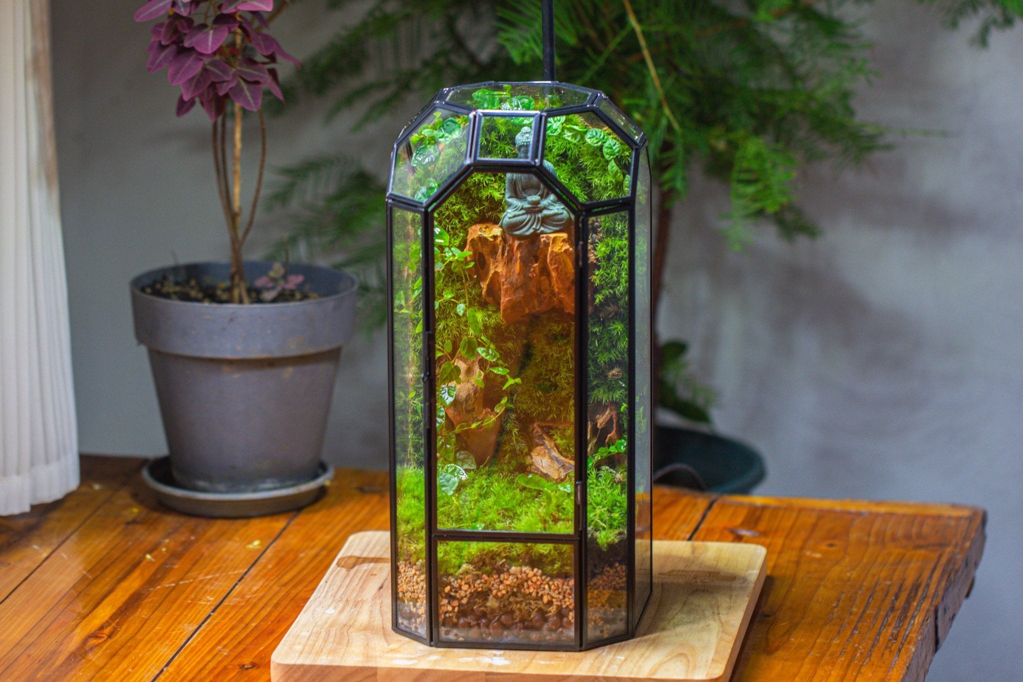 Vintage Tall Octagon Geometric Glass Terrarium , 12.6" , close, suitable for tall plants, orchid, small begonia Pitcher, Micro landscape - NCYPgarden