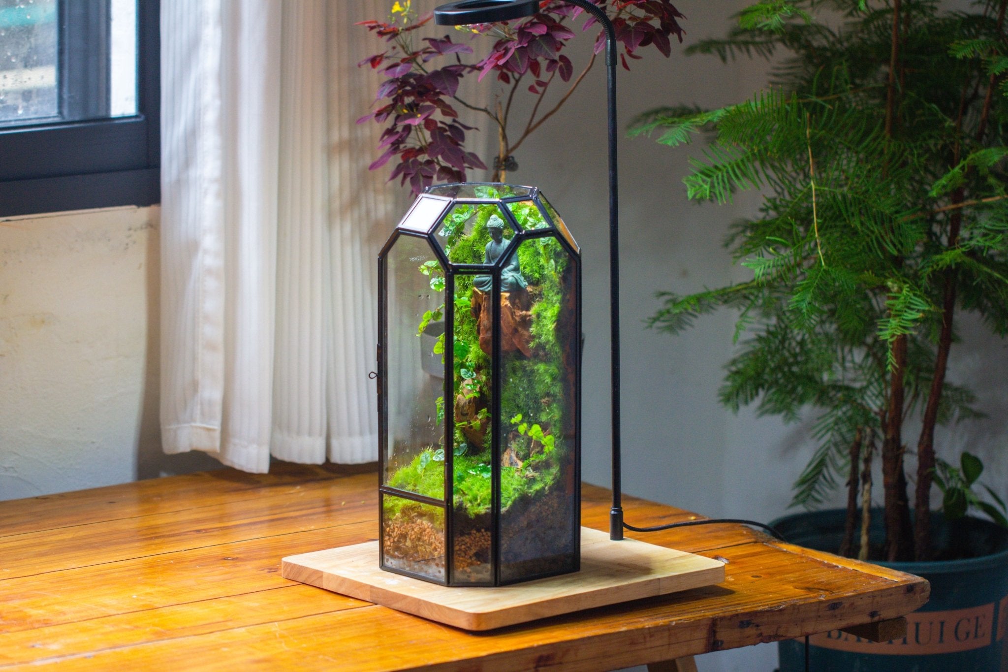 Vintage Tall Octagon Geometric Glass Terrarium , 12.6" , close, suitable for tall plants, orchid, small begonia Pitcher, Micro landscape - NCYPgarden