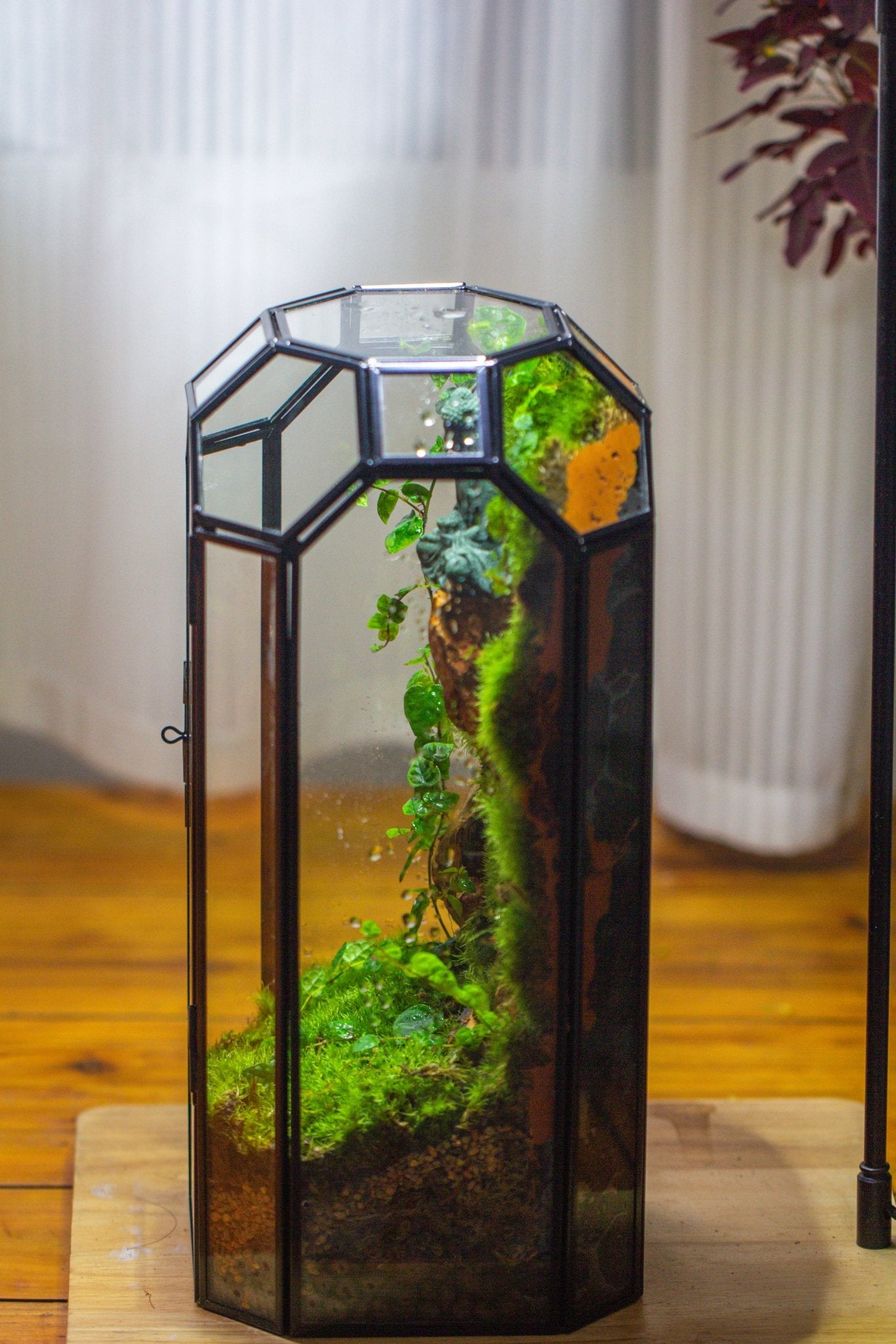 Vintage Tall Octagon Geometric Glass Terrarium , 12.6" , close, suitable for tall plants, orchid, small begonia Pitcher, Micro landscape - NCYPgarden