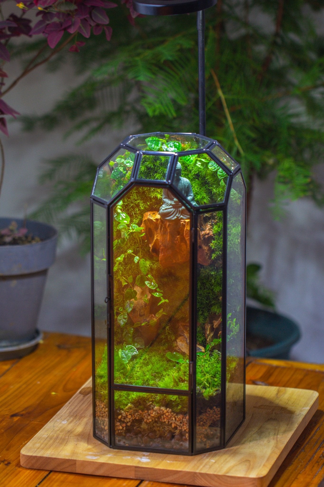 Vintage Tall Octagon Geometric Glass Terrarium , 12.6" , close, suitable for tall plants, orchid, small begonia Pitcher, Micro landscape - NCYPgarden