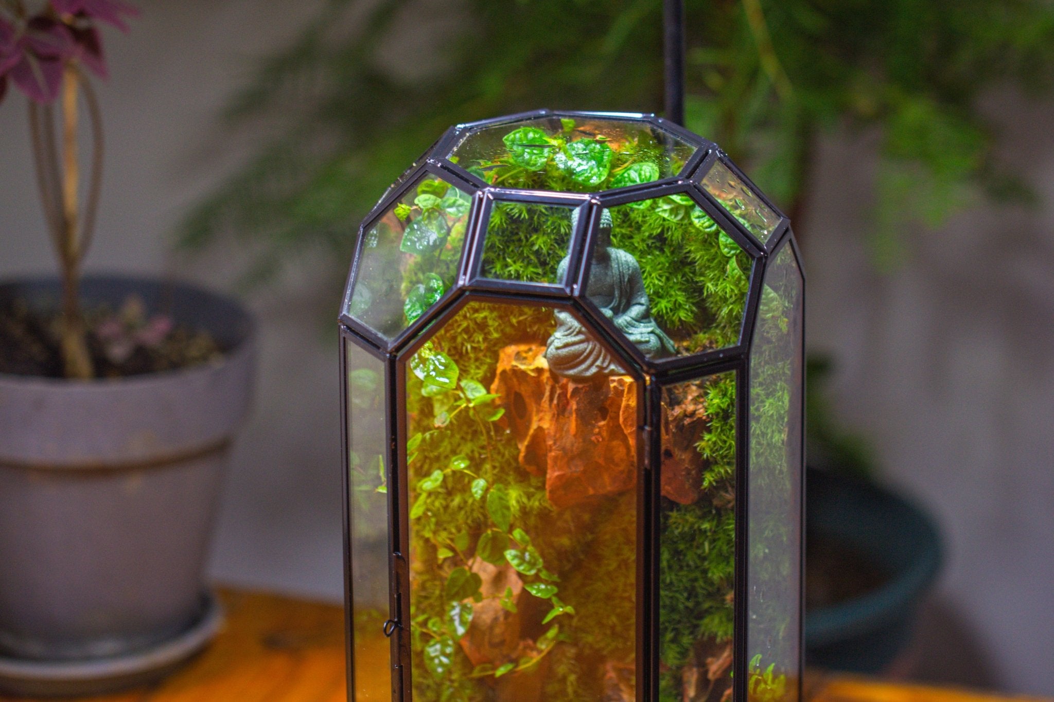 Vintage Tall Octagon Geometric Glass Terrarium , 12.6" , close, suitable for tall plants, orchid, small begonia Pitcher, Micro landscape - NCYPgarden