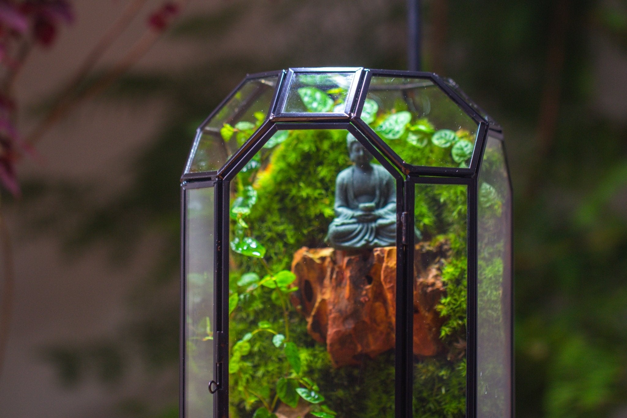 Vintage Tall Octagon Geometric Glass Terrarium , 12.6" , close, suitable for tall plants, orchid, small begonia Pitcher, Micro landscape - NCYPgarden
