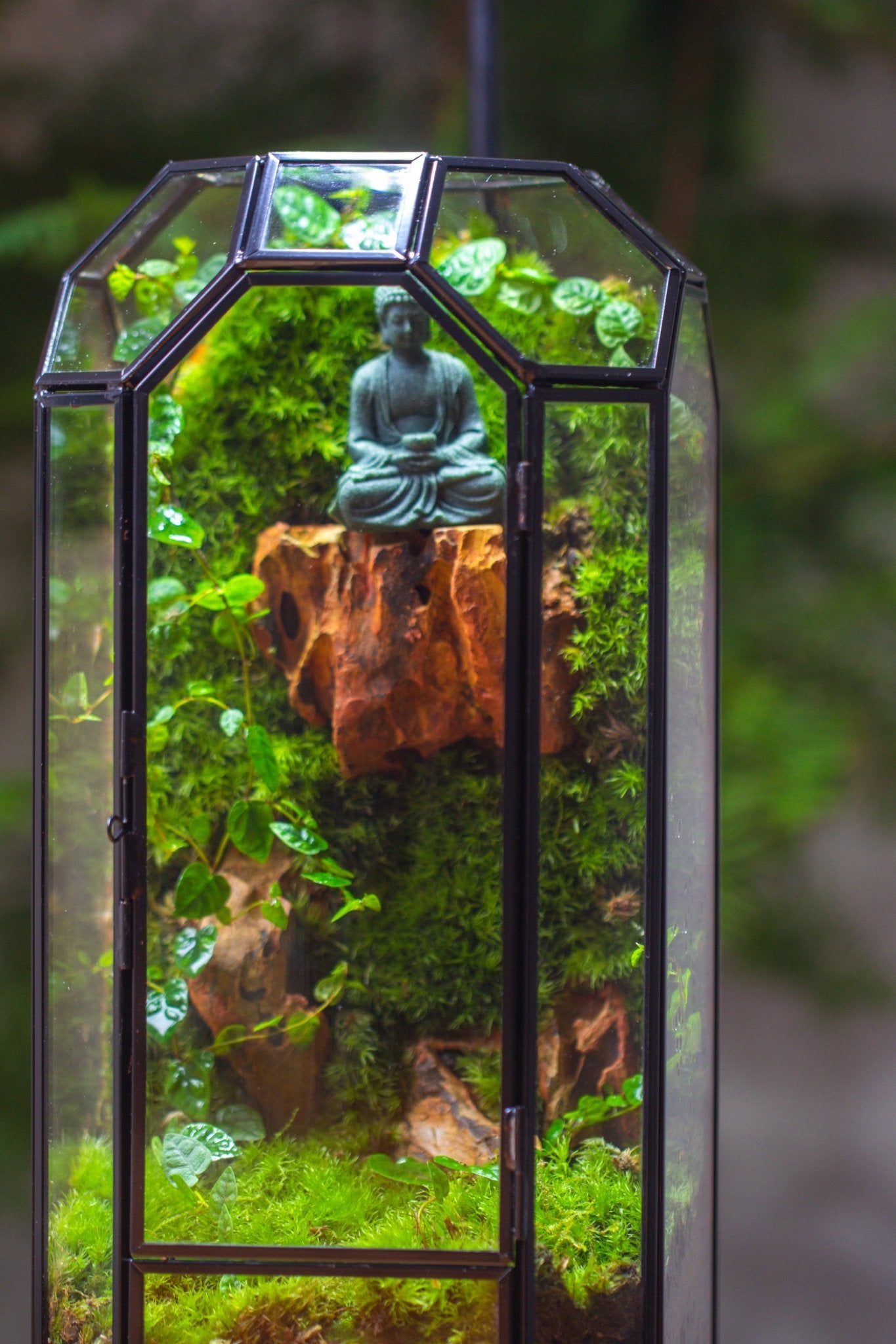 Vintage Tall Octagon Geometric Glass Terrarium , 12.6" , close, suitable for tall plants, orchid, small begonia Pitcher, Micro landscape - NCYPgarden
