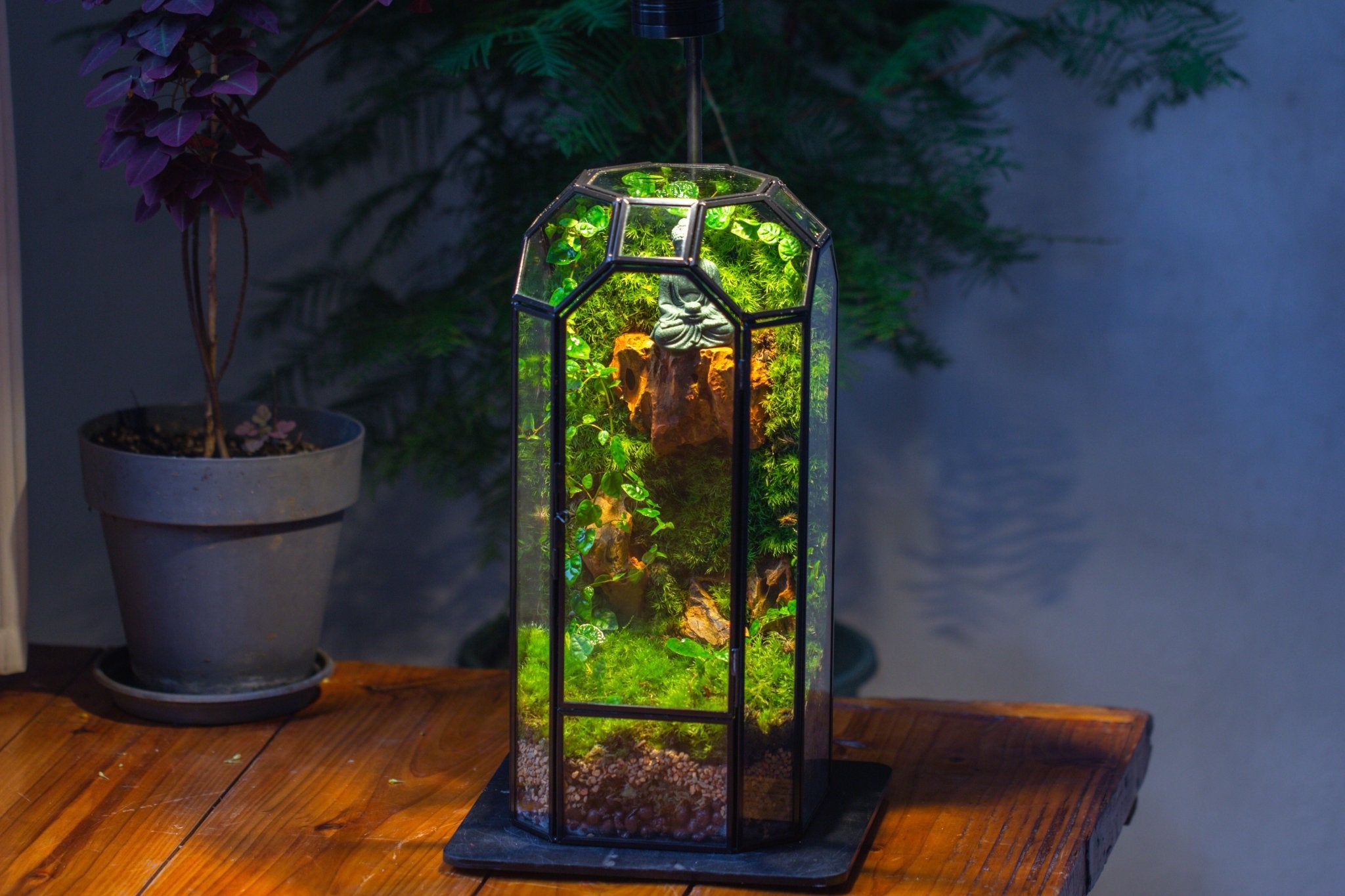 Vintage Tall Octagon Geometric Glass Terrarium , 12.6" , close, suitable for tall plants, orchid, small begonia Pitcher, Micro landscape - NCYPgarden