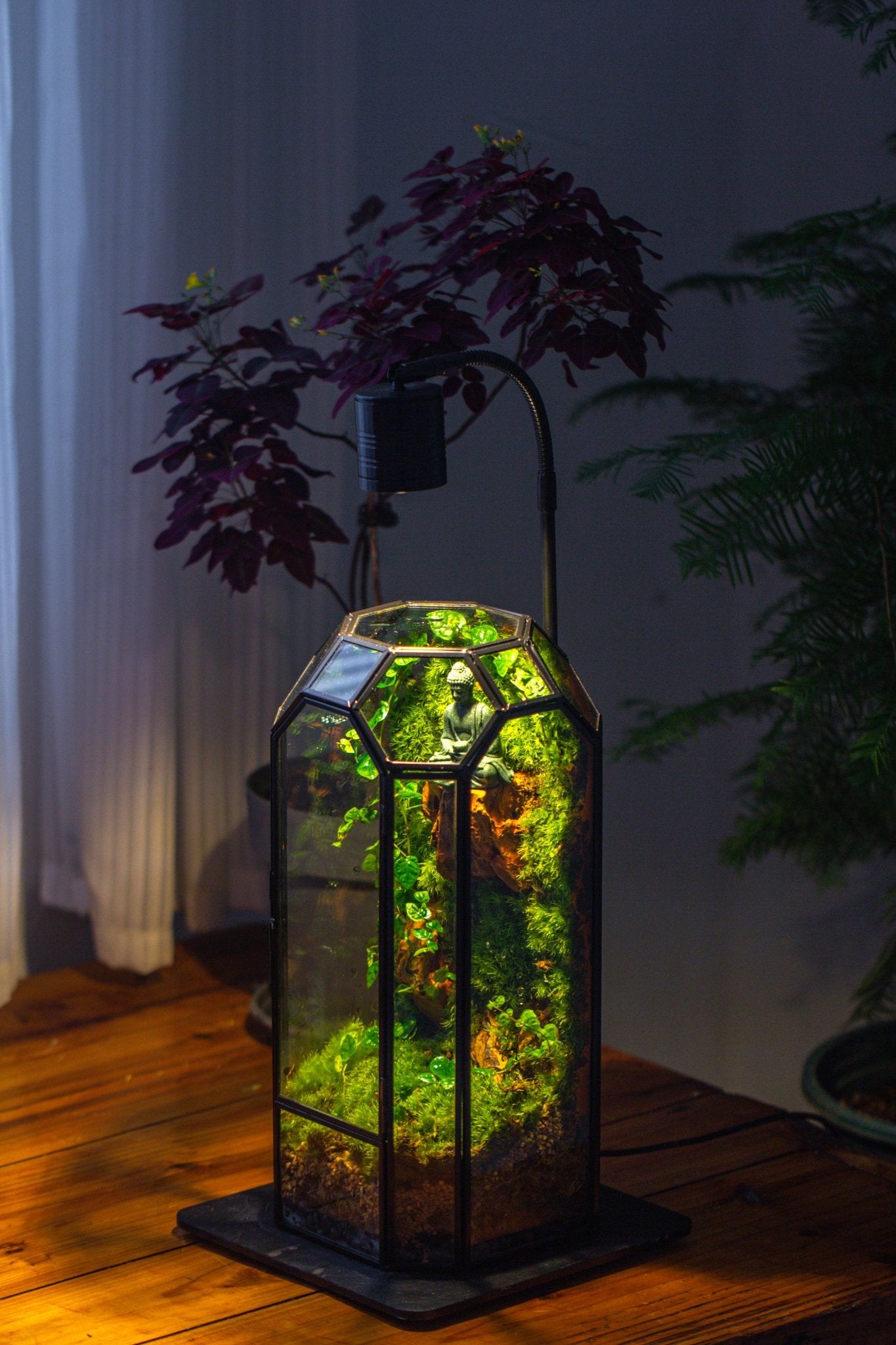 Vintage Tall Octagon Geometric Glass Terrarium , 12.6" , close, suitable for tall plants, orchid, small begonia Pitcher, Micro landscape - NCYPgarden