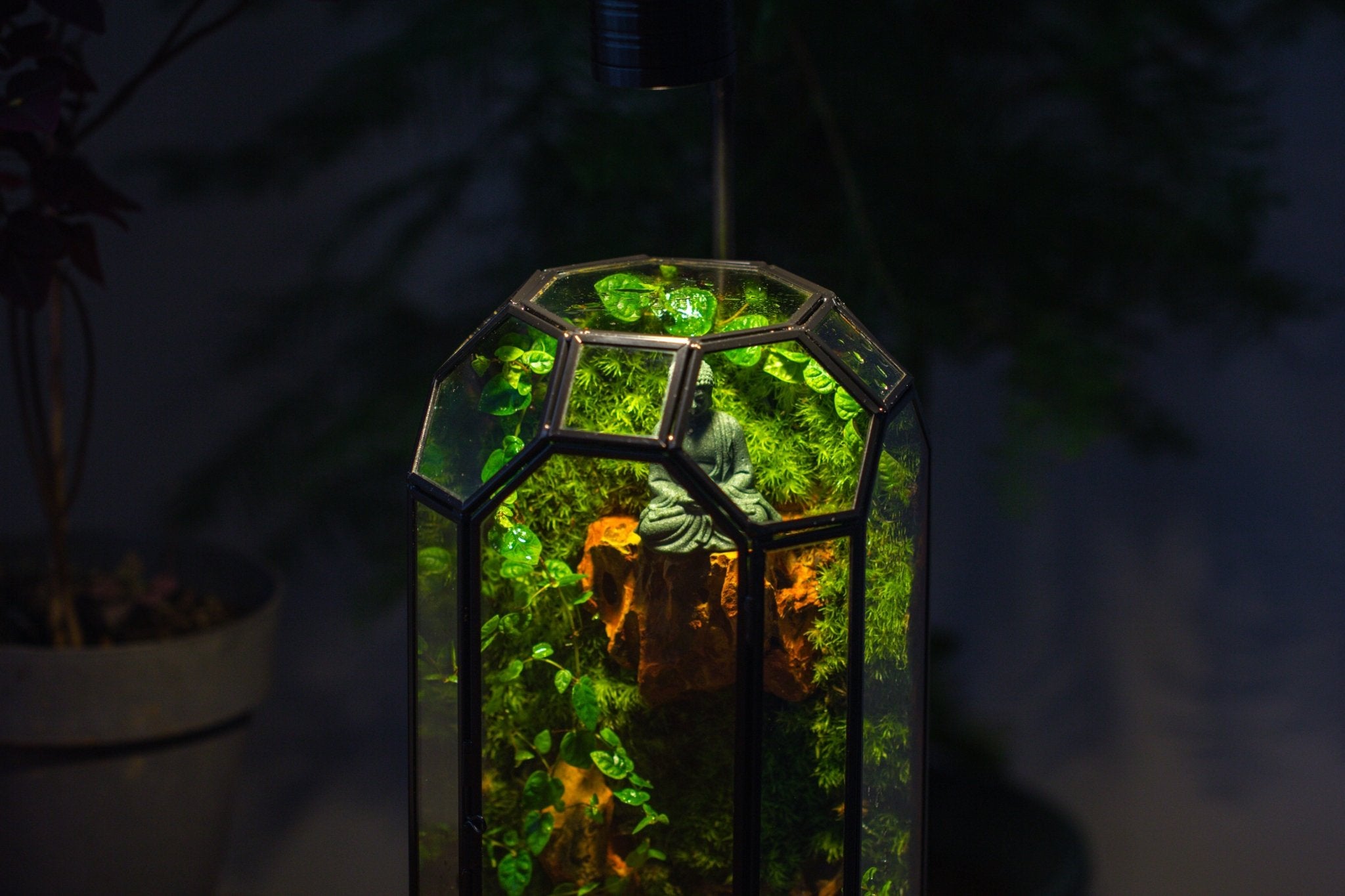Vintage Tall Octagon Geometric Glass Terrarium , 12.6" , close, suitable for tall plants, orchid, small begonia Pitcher, Micro landscape - NCYPgarden