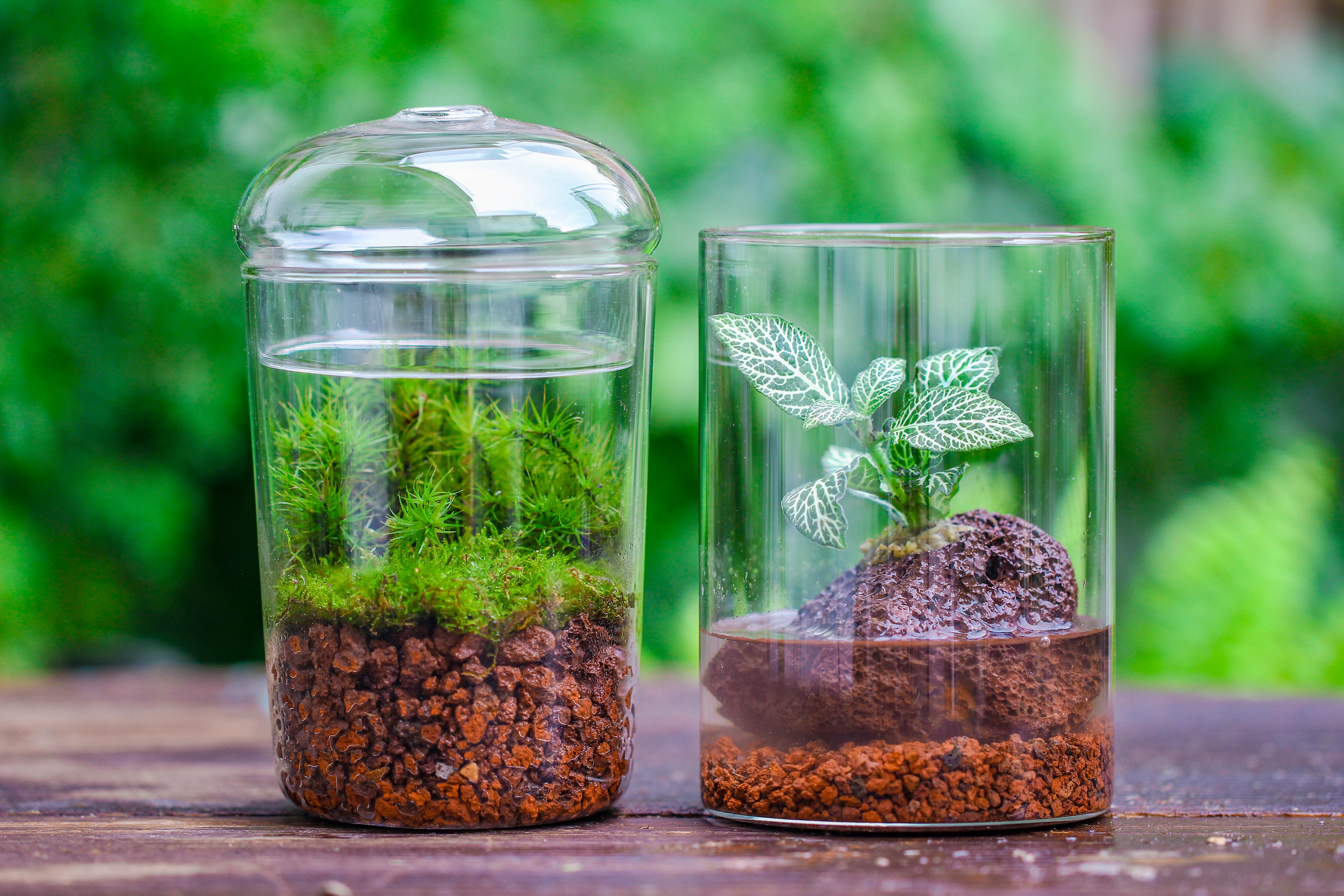 Red Horticultural Lava Rock Volcanic Rock Soil for Cacti Succulents Potted Plants Bonsai - NCYPgarden