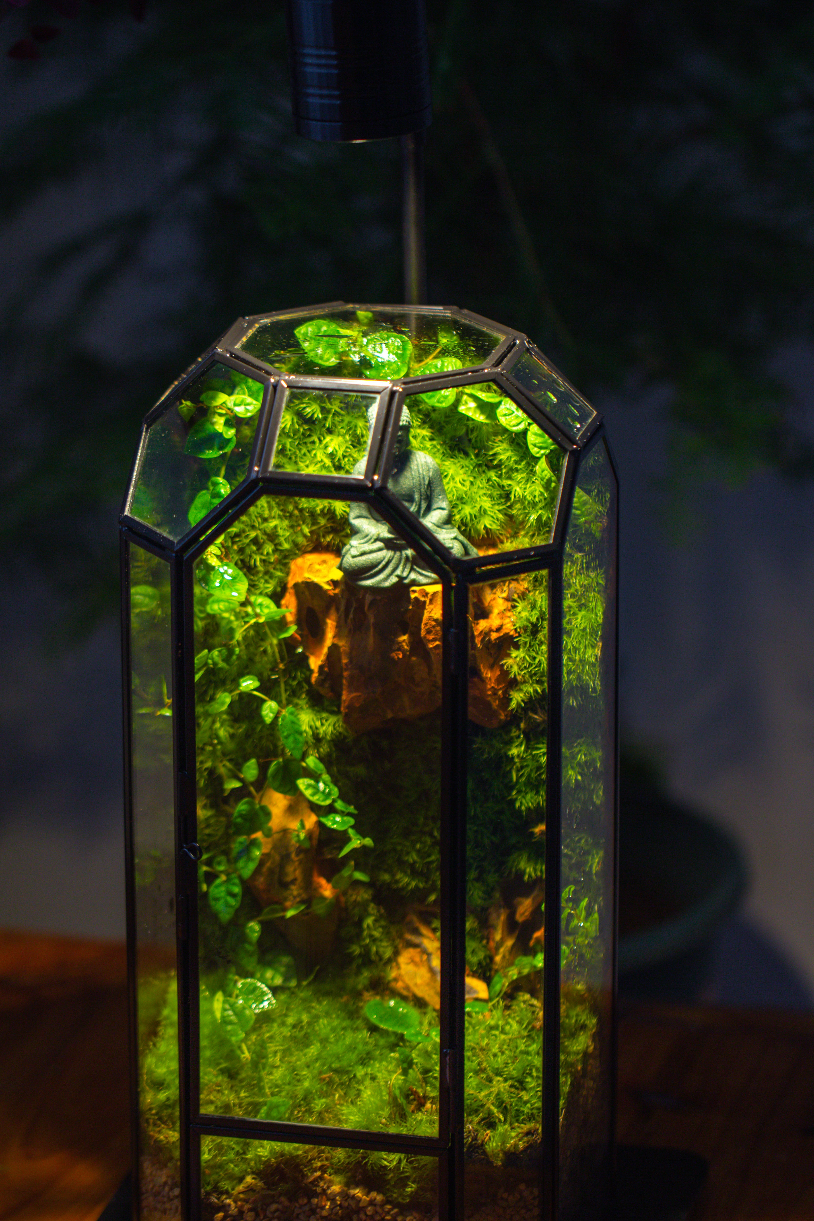 Vintage Tall Octagon Geometric Glass Terrarium , 12.6" , close, suitable for tall plants, orchid, small begonia Pitcher, Micro landscape - NCYPgarden