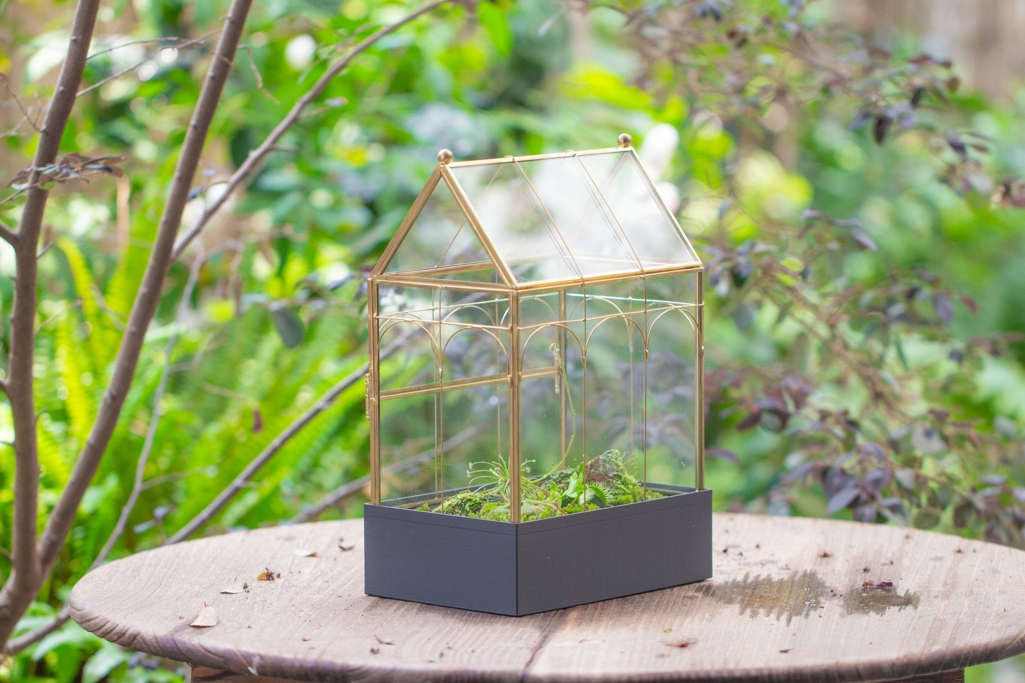 11” Gold Victorian Greenhouse Glass Terrarium with Water - Holding Base and Side Door - NCYPgarden