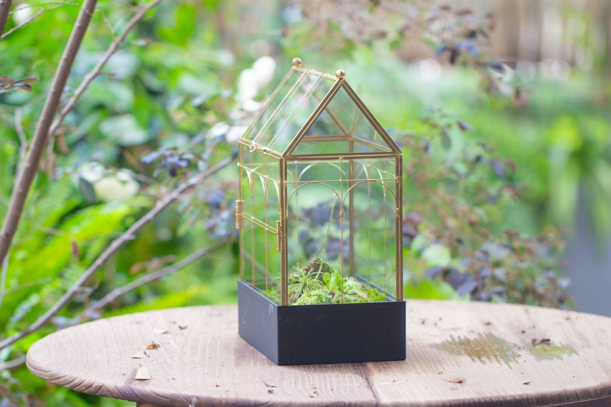 11” Gold Victorian Greenhouse Glass Terrarium with Water - Holding Base and Side Door - NCYPgarden