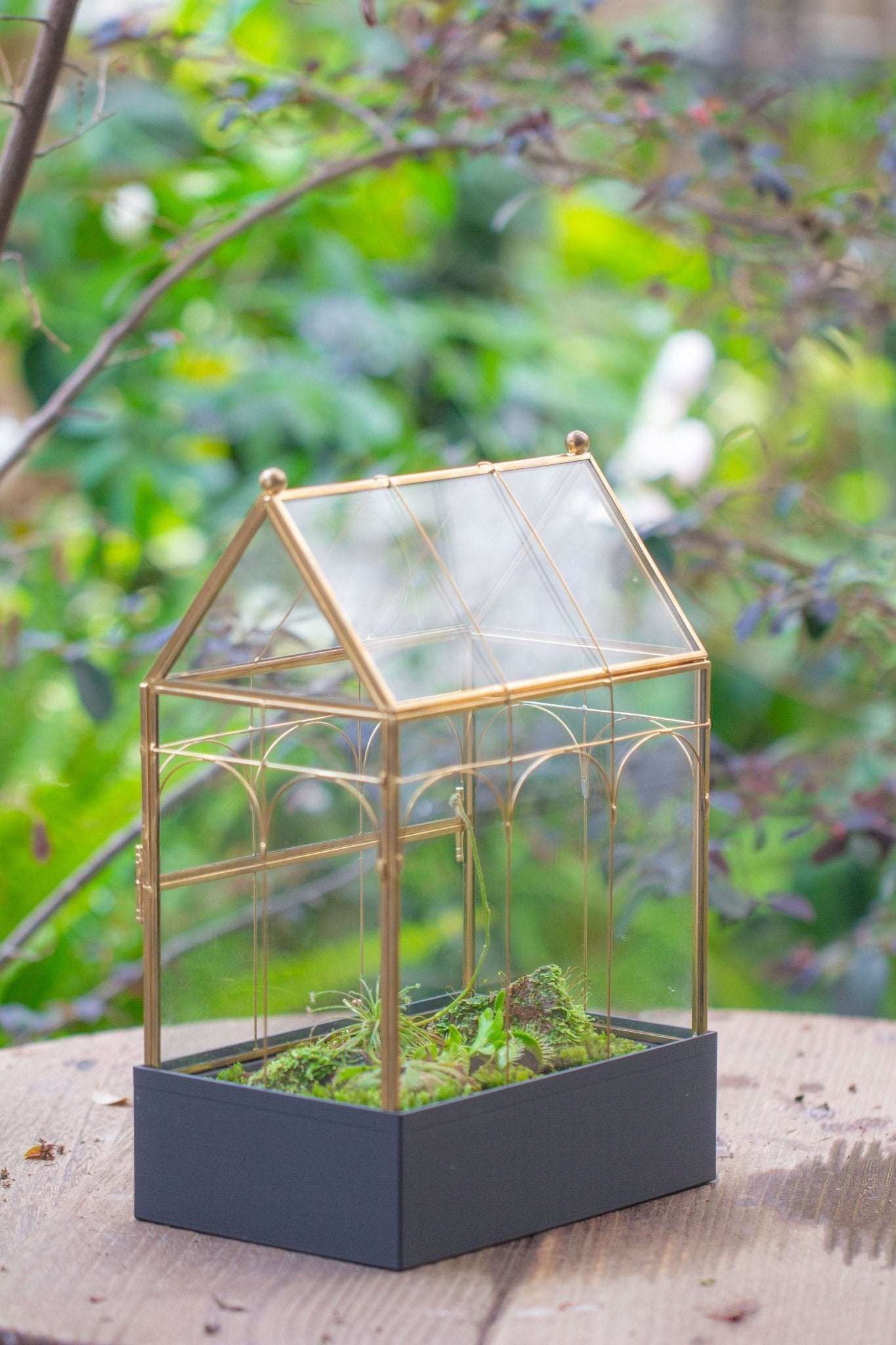 11” Gold Victorian Greenhouse Glass Terrarium with Water - Holding Base and Side Door - NCYPgarden