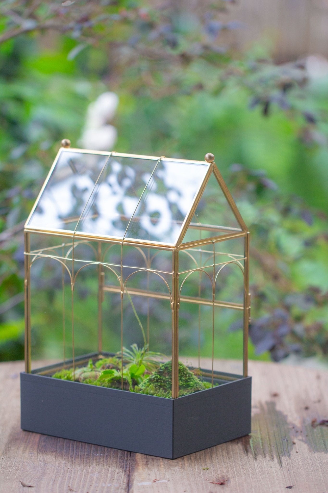 11” Gold Victorian Greenhouse Glass Terrarium with Water - Holding Base and Side Door - NCYPgarden
