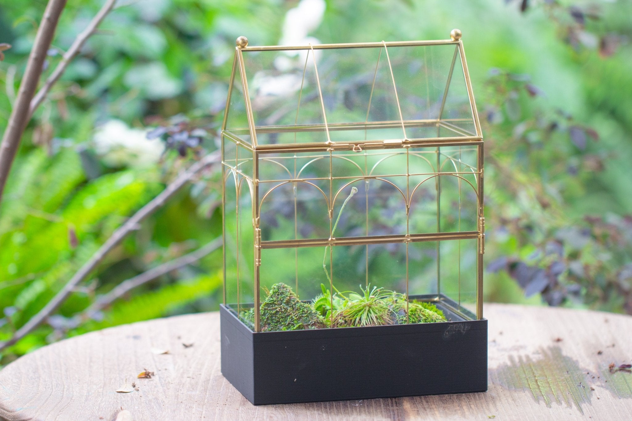 11” Gold Victorian Greenhouse Glass Terrarium with Water - Holding Base and Side Door - NCYPgarden