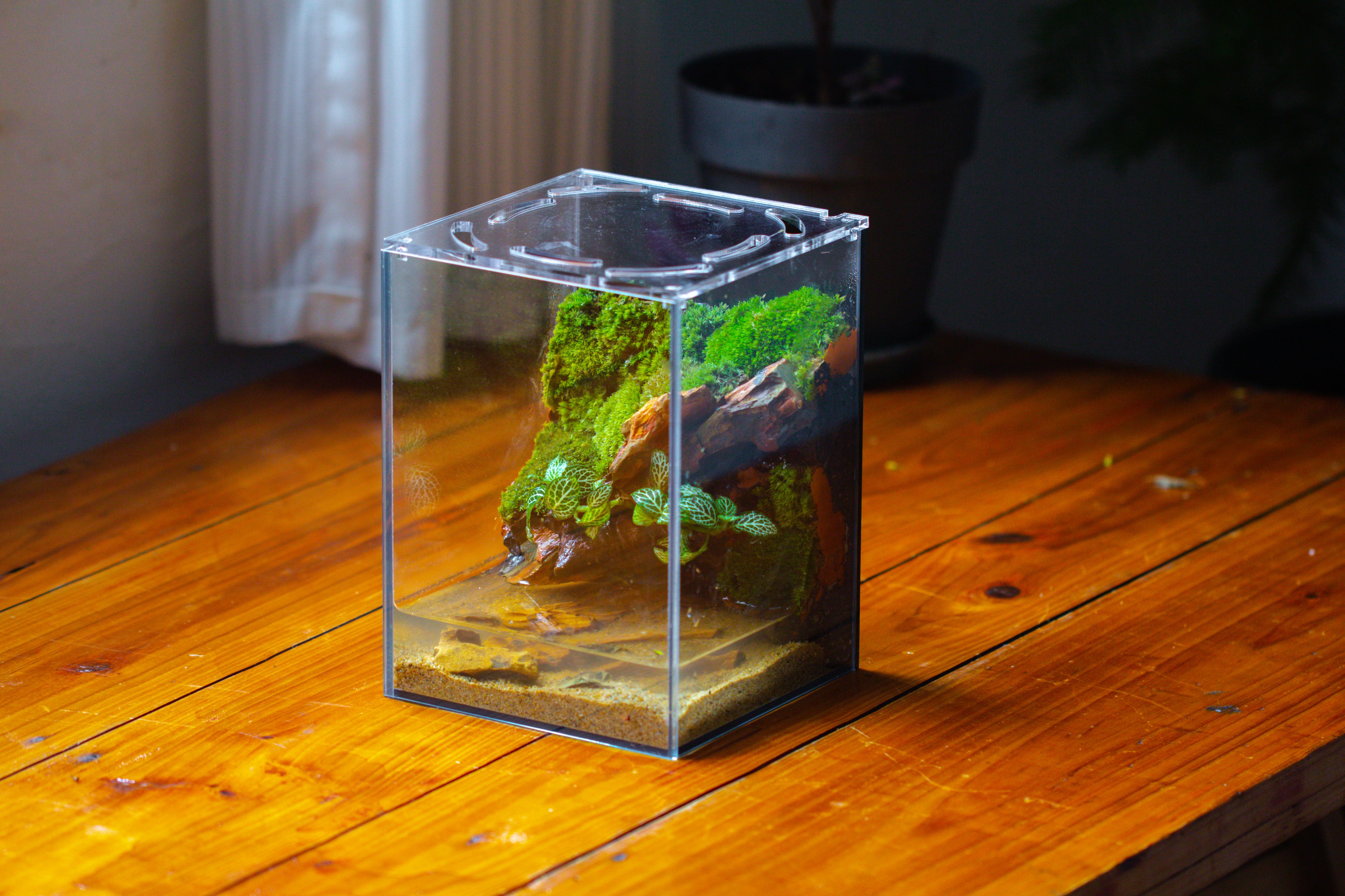 Watertight Glass Terrarium with LED Grow Light, Acrylic Lid for Moss Wall, vertical planting -15x15x20cm / 5.9x5.9x7.8 - NCYPgarden