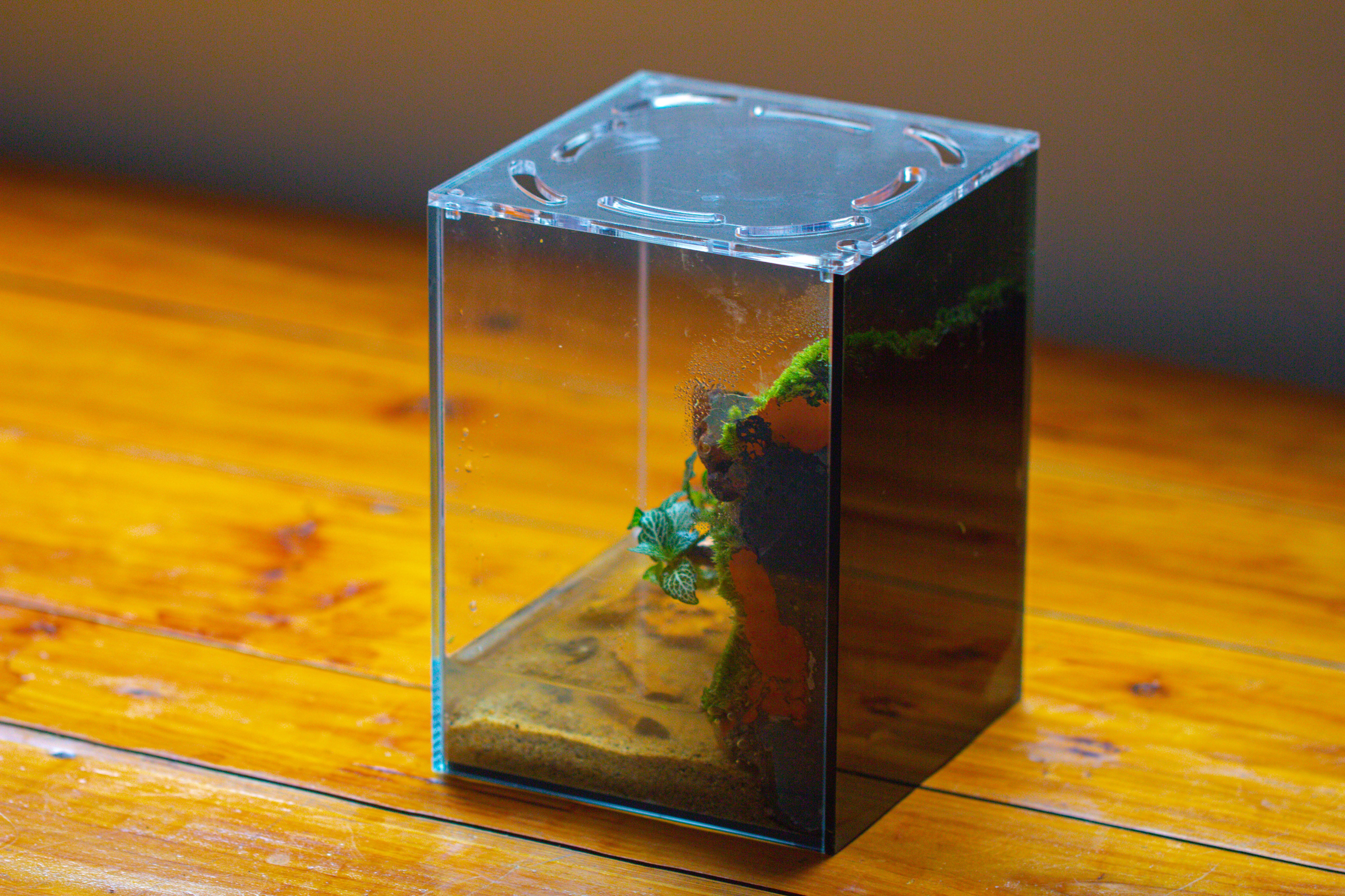 Watertight Glass Terrarium with LED Grow Light, Acrylic Lid for Moss Wall, vertical planting -15x15x20cm / 5.9x5.9x7.8 - NCYPgarden