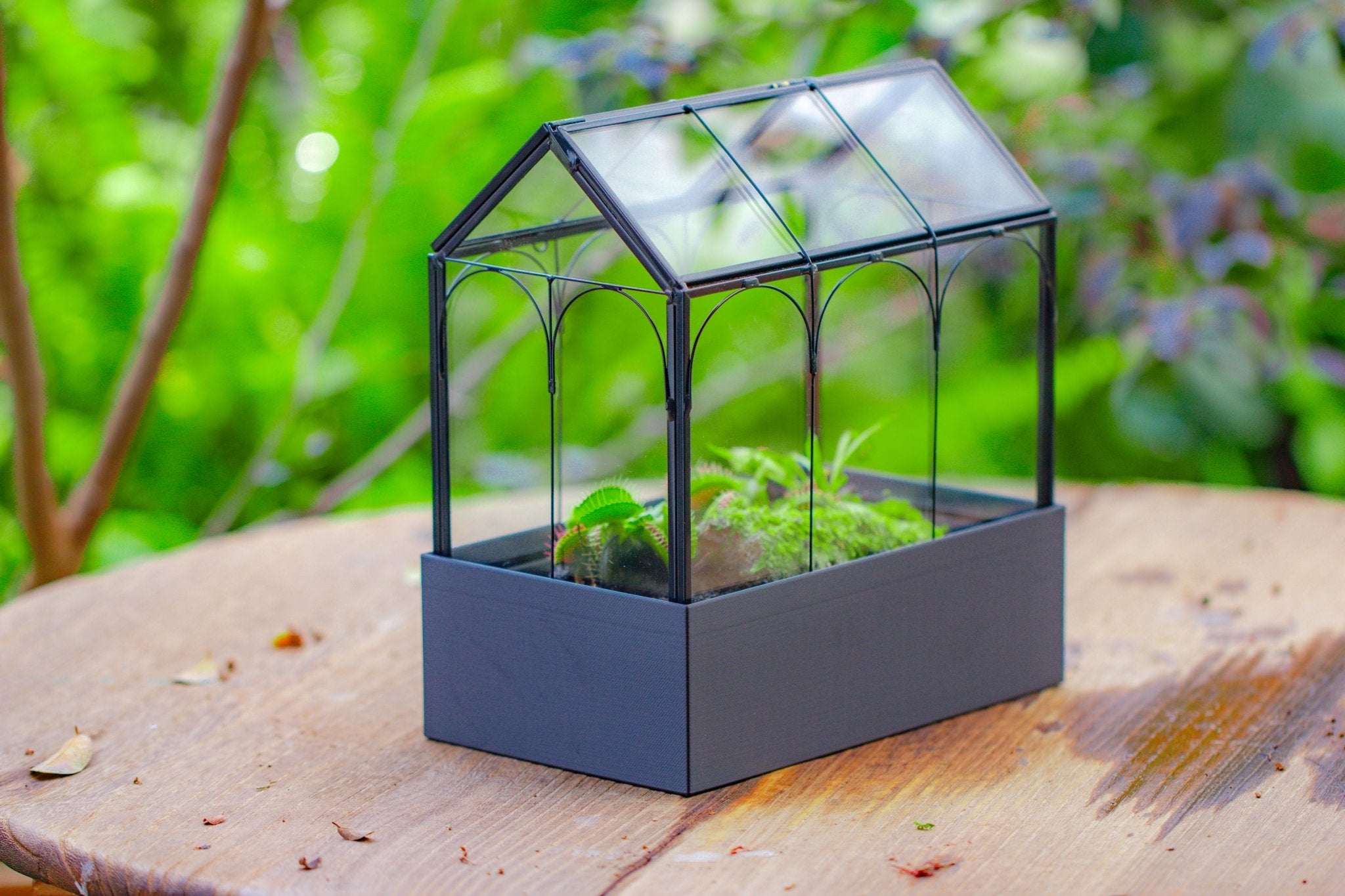 8" Vintage Greenhouse Glass Terrarium with Water - Holding Base and Top Door - NCYPgarden