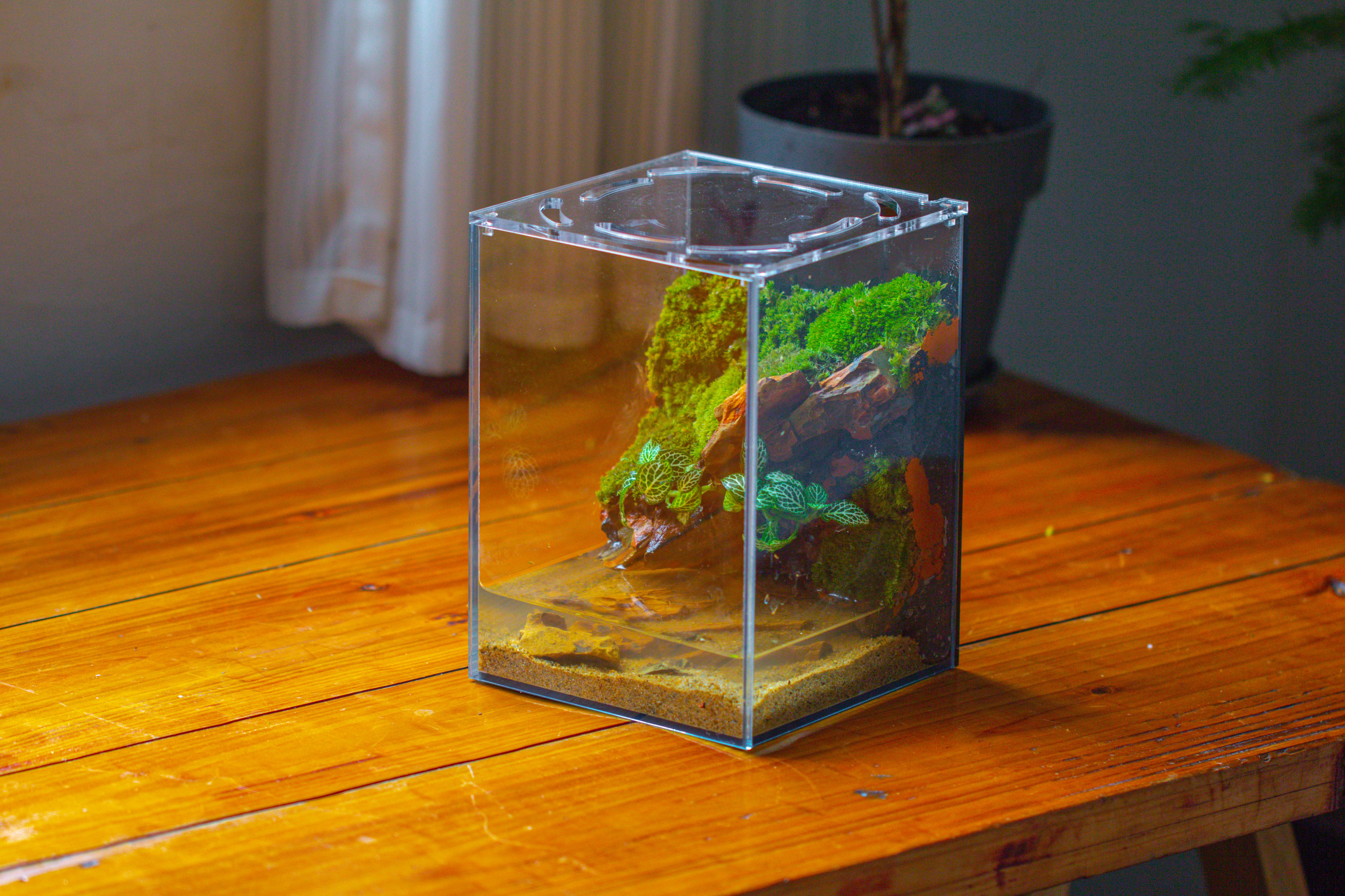 Watertight Glass Terrarium with LED Grow Light, Acrylic Lid for Moss Wall, vertical planting -15x15x20cm / 5.9x5.9x7.8 - NCYPgarden