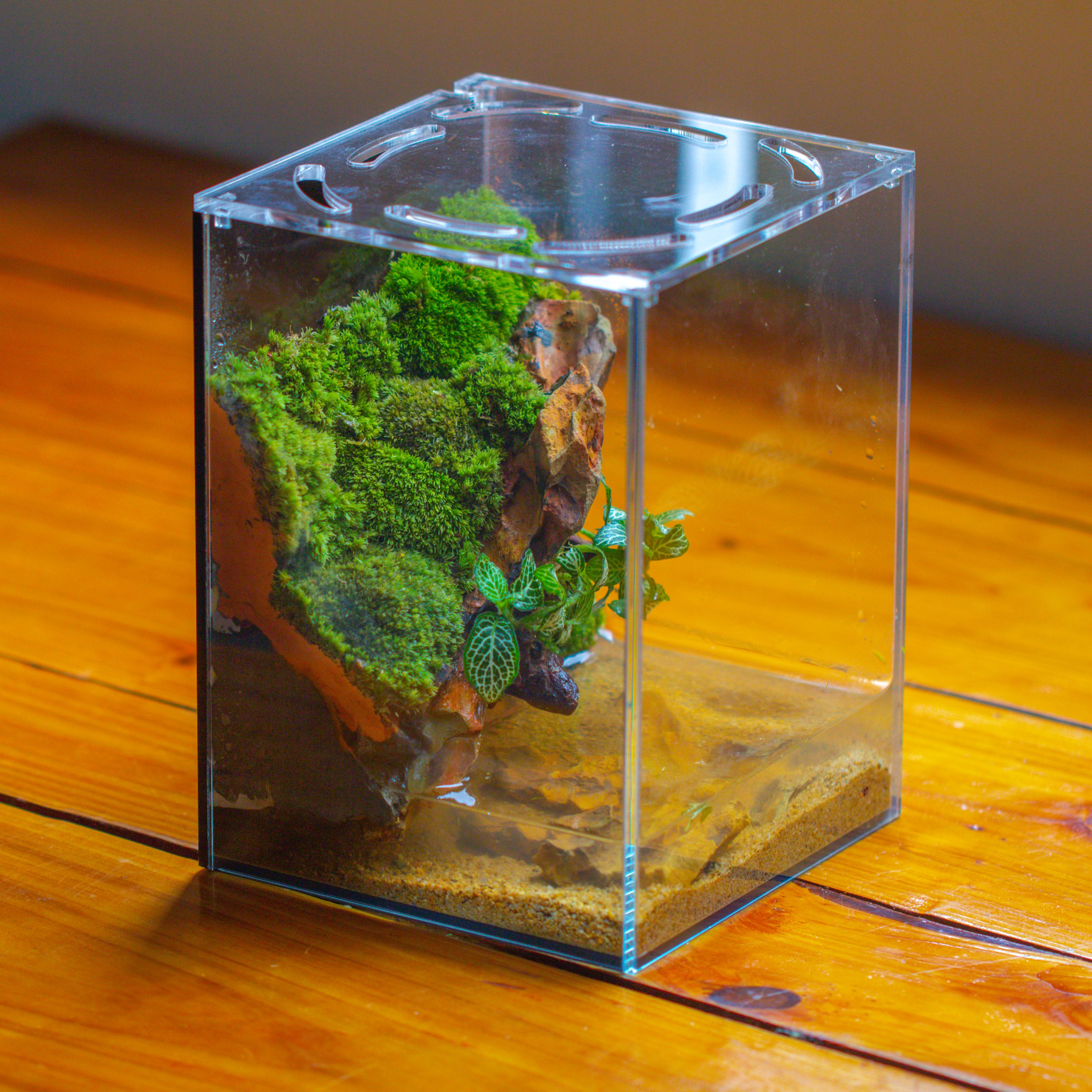 Watertight Glass Terrarium with LED Grow Light, Acrylic Lid for Moss Wall, vertical planting -15x15x20cm / 5.9x5.9x7.8 - NCYPgarden