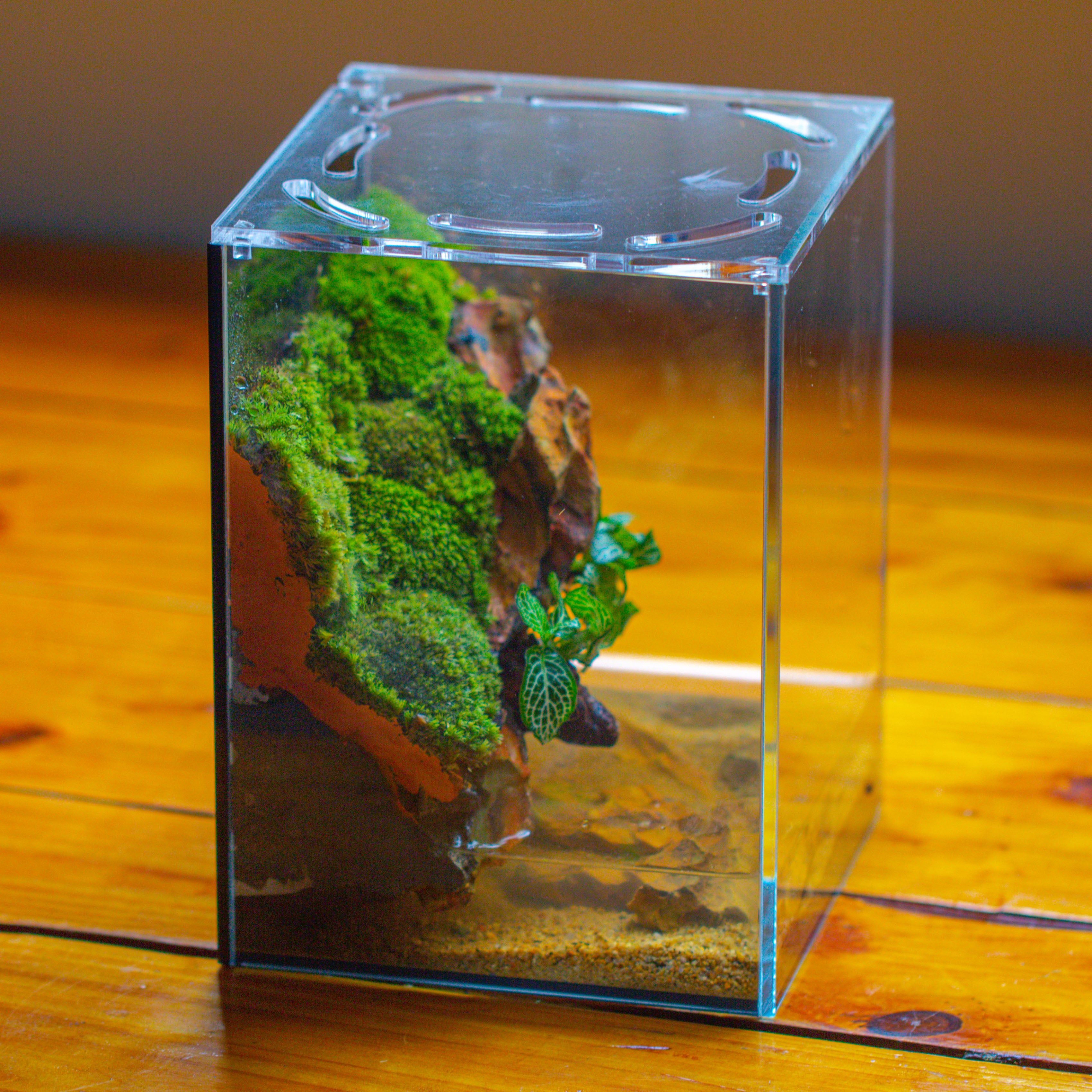 Watertight Glass Terrarium with LED Grow Light, Acrylic Lid for Moss Wall, vertical planting -15x15x20cm / 5.9x5.9x7.8 - NCYPgarden