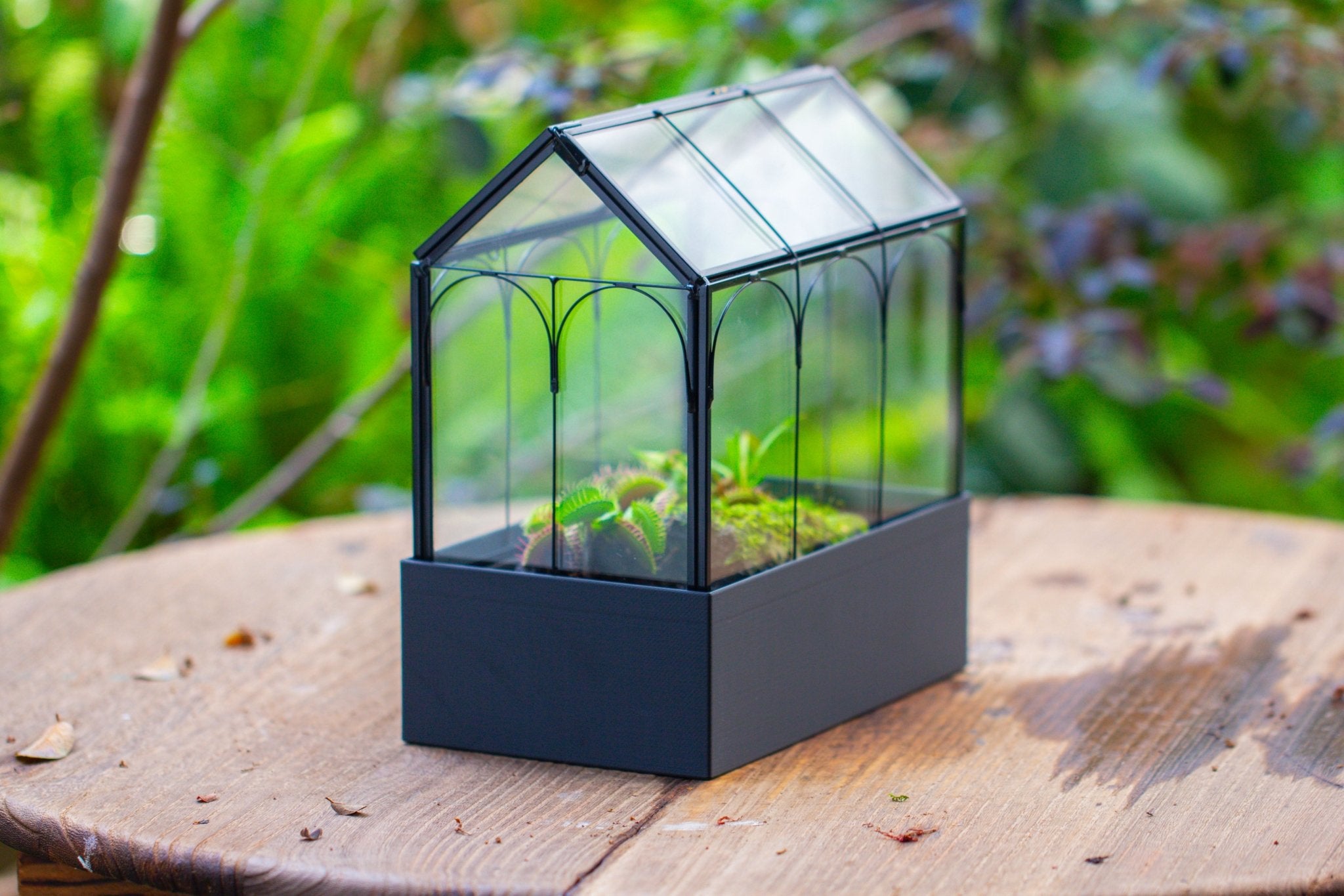 8" Vintage Greenhouse Glass Terrarium with Water - Holding Base and Top Door - NCYPgarden