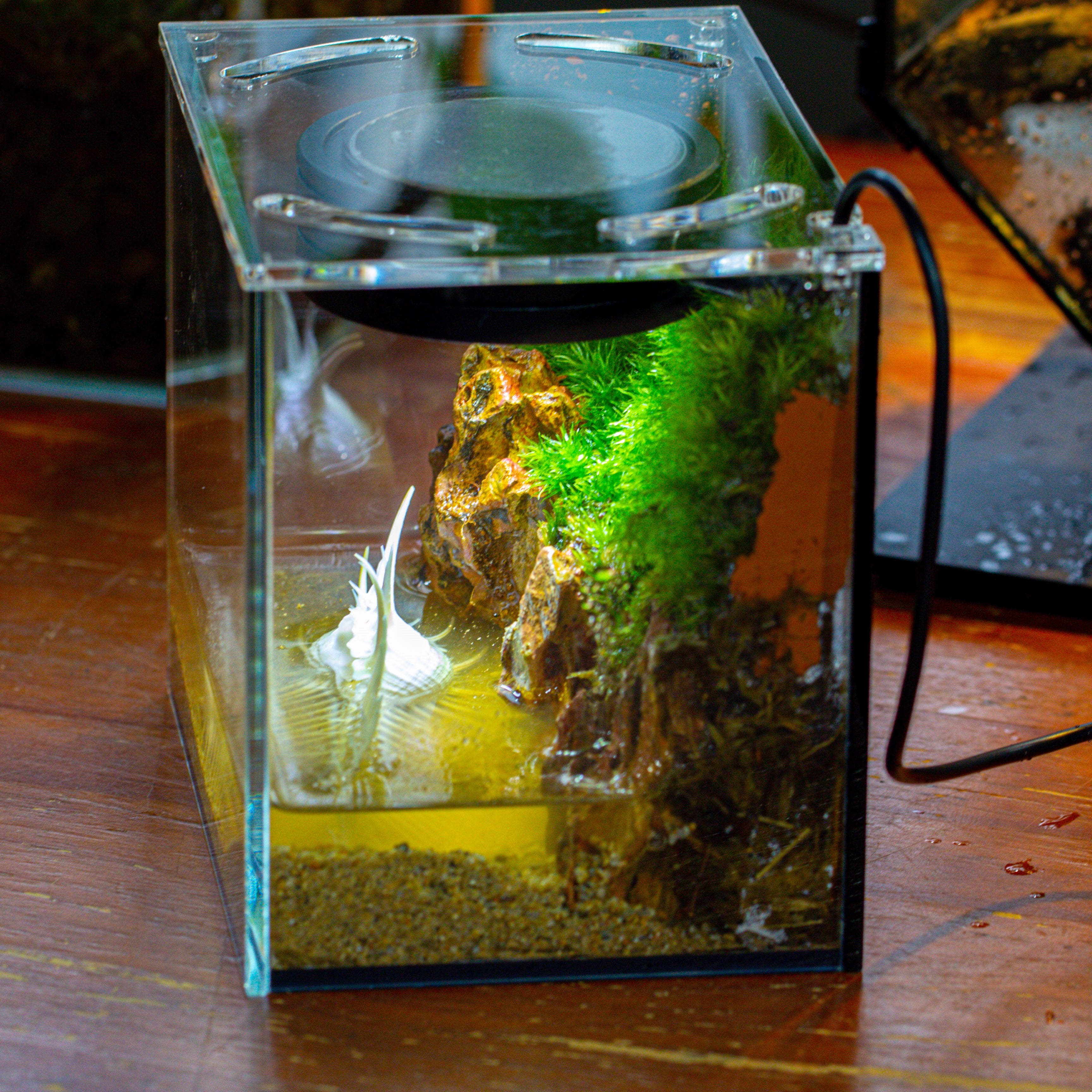 Watertight Glass Terrarium with LED Grow Light, Acrylic Lid for Moss Wall, vertical planting -15x11x13cm / 5.9x4.3x5.1'' - NCYPgarden