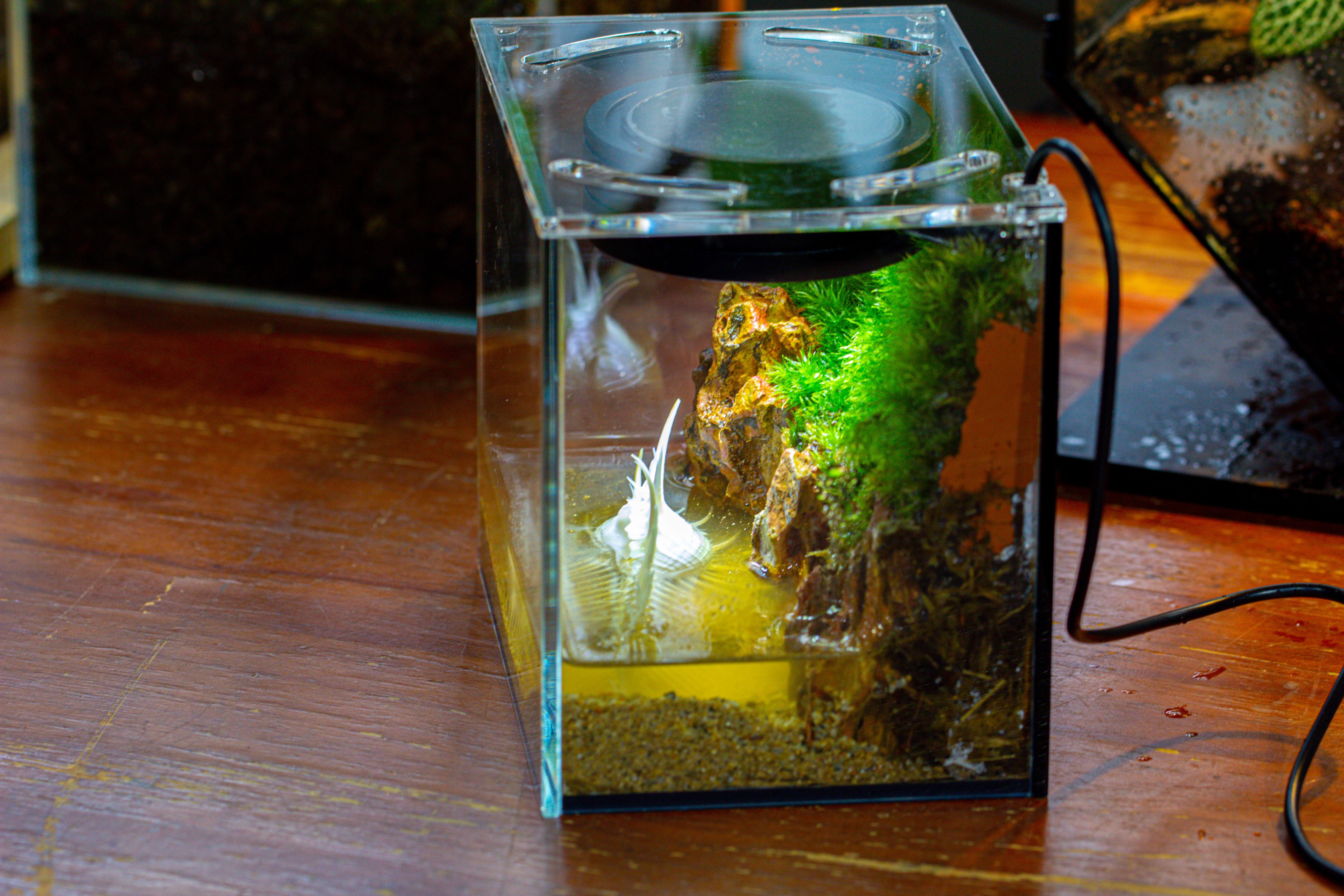 Watertight Glass Terrarium with LED Grow Light, Acrylic Lid for Moss Wall, vertical planting -15x11x13cm / 5.9x4.3x5.1'' - NCYPgarden