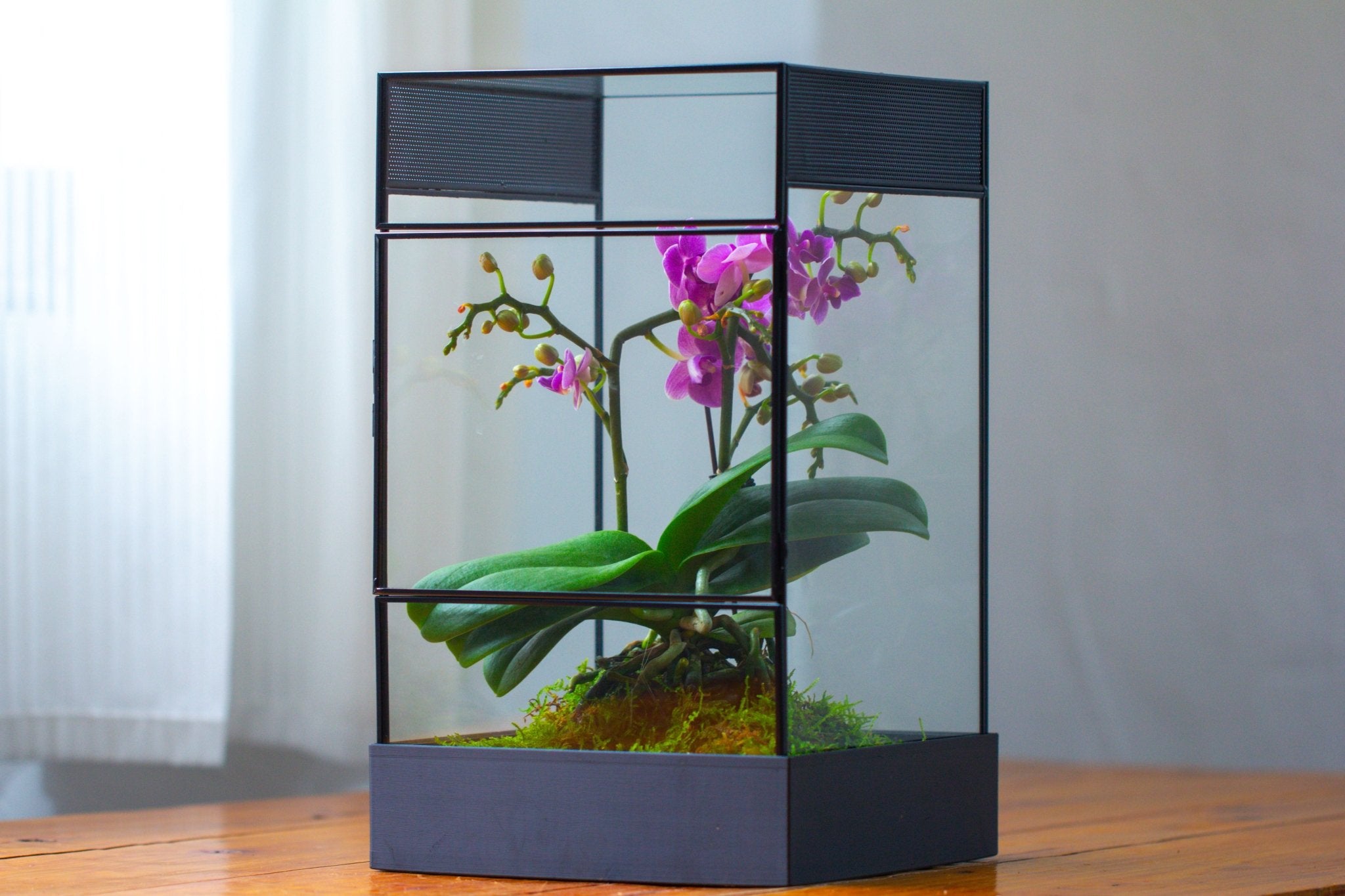 8x8x12 inches Large Handmade Glass Geometric Terrarium with Side Vent, for large insects - NCYPgarden