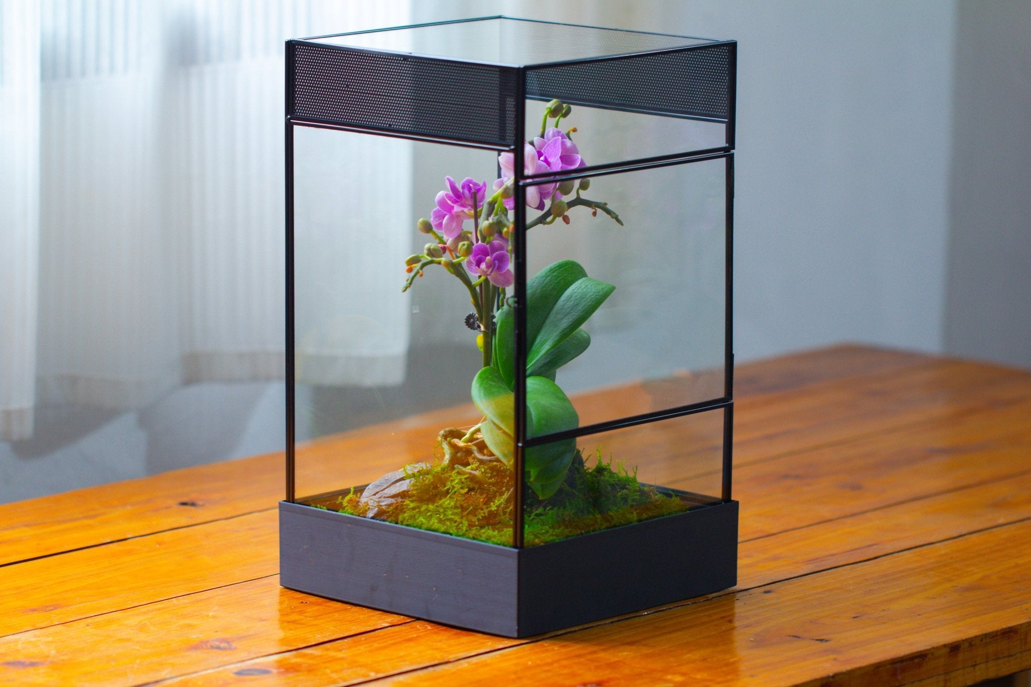 8x8x12 inches Large Handmade Glass Geometric Terrarium with Side Vent, for large insects - NCYPgarden