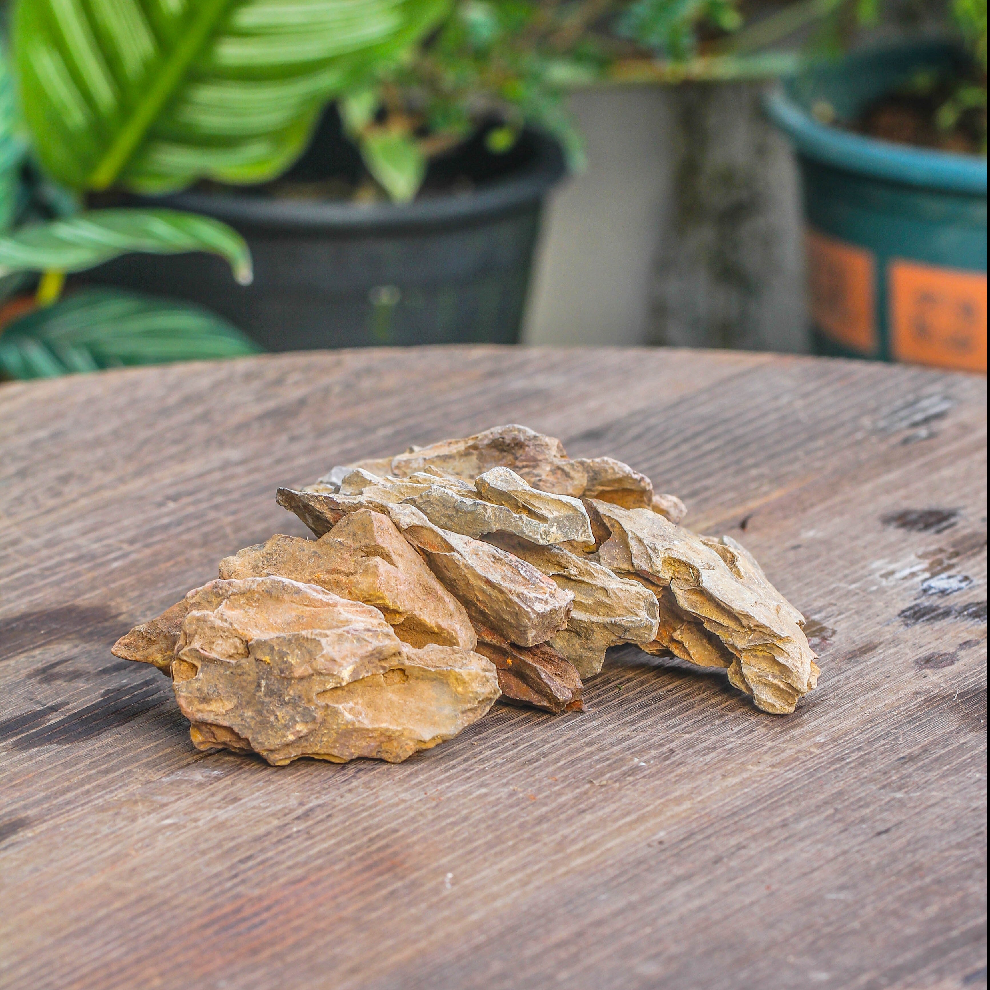 5-12cm Natural Ohko Dragon Stone Rock for Terrarium, Aquarium Bonsai Landscape, 500g - NCYPgarden