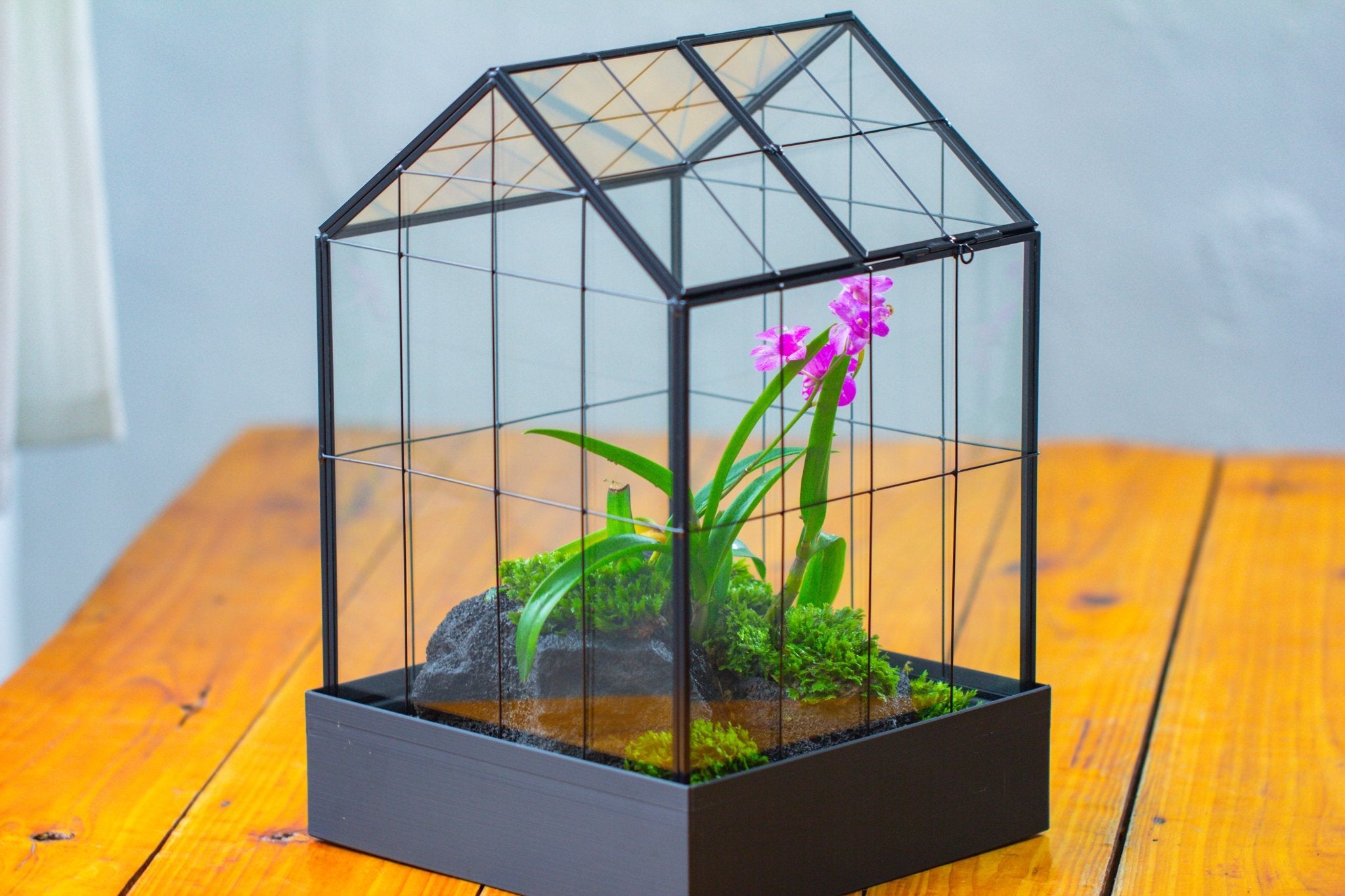 11” Vintage Greenhouse Glass Terrarium with Water - Holding Tray and Top Door - NCYPgarden