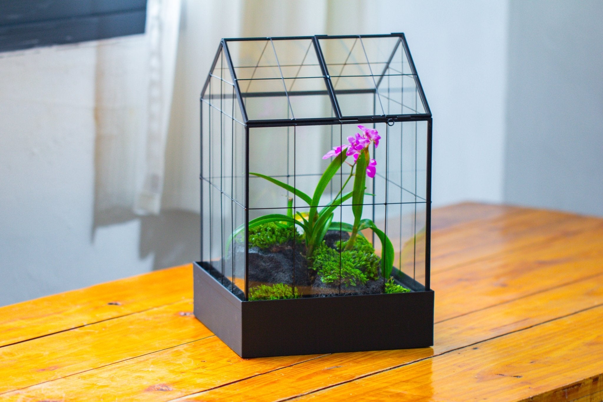 11” Vintage Greenhouse Glass Terrarium with Water - Holding Tray and Top Door - NCYPgarden