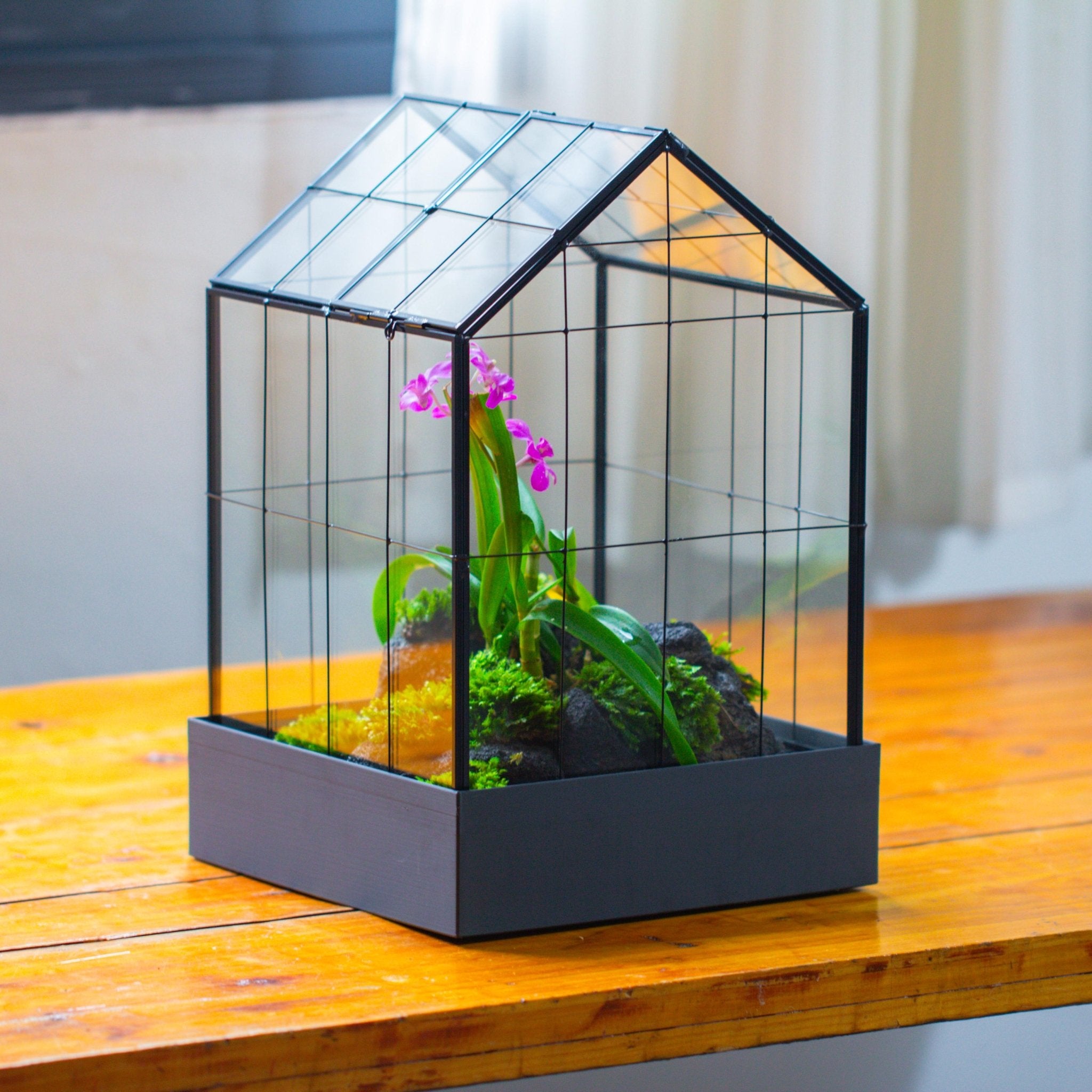 11” Vintage Greenhouse Glass Terrarium with Water - Holding Tray and Top Door - NCYPgarden
