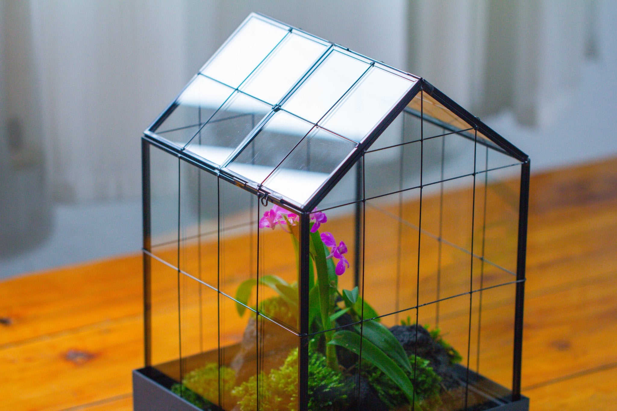 11” Vintage Greenhouse Glass Terrarium with Water - Holding Tray and Top Door - NCYPgarden