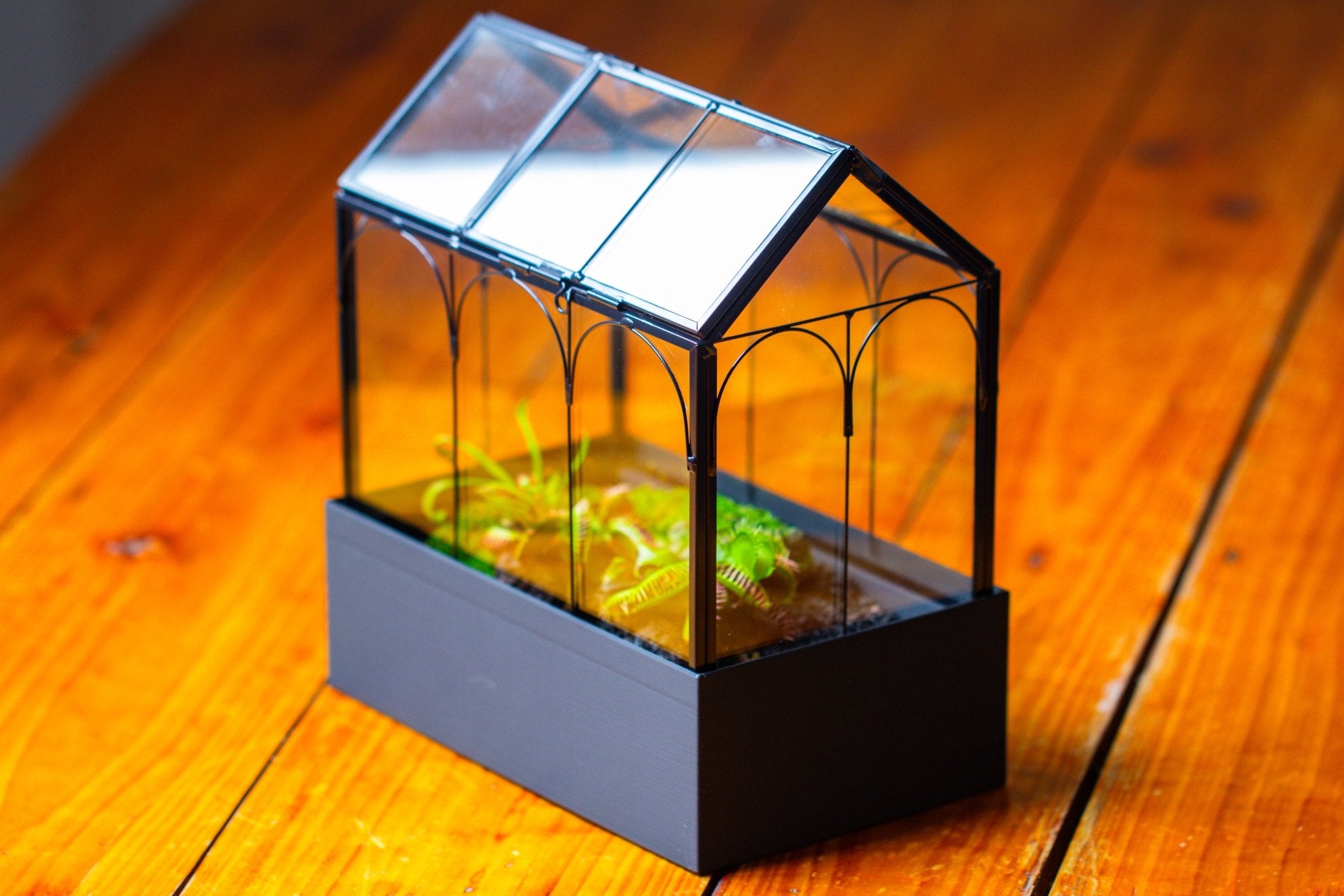 8" Vintage Greenhouse Glass Terrarium with Water - Holding Base and Top Door - NCYPgarden