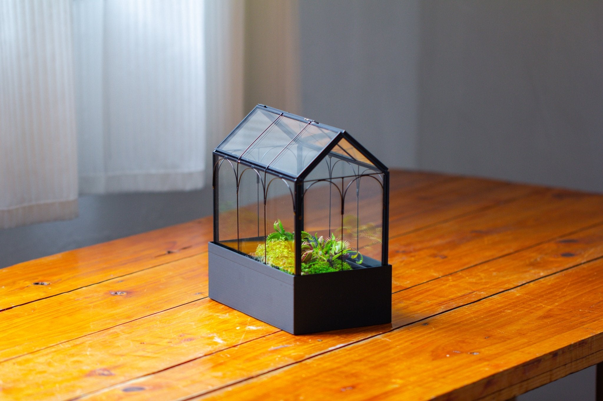 8" Vintage Greenhouse Glass Terrarium with Water - Holding Base and Top Door - NCYPgarden