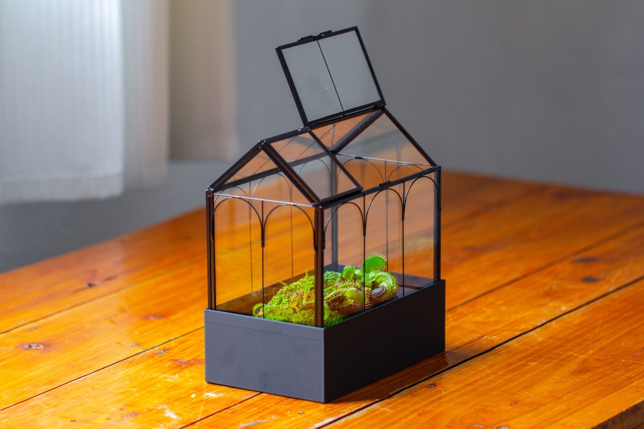 8" Vintage Greenhouse Glass Terrarium with Water - Holding Base and Top Door - NCYPgarden
