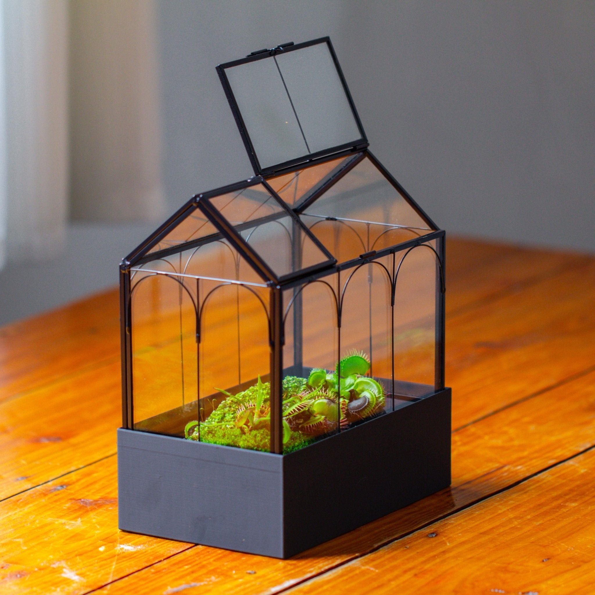 8" Vintage Greenhouse Glass Terrarium with Water - Holding Base and Top Door - NCYPgarden
