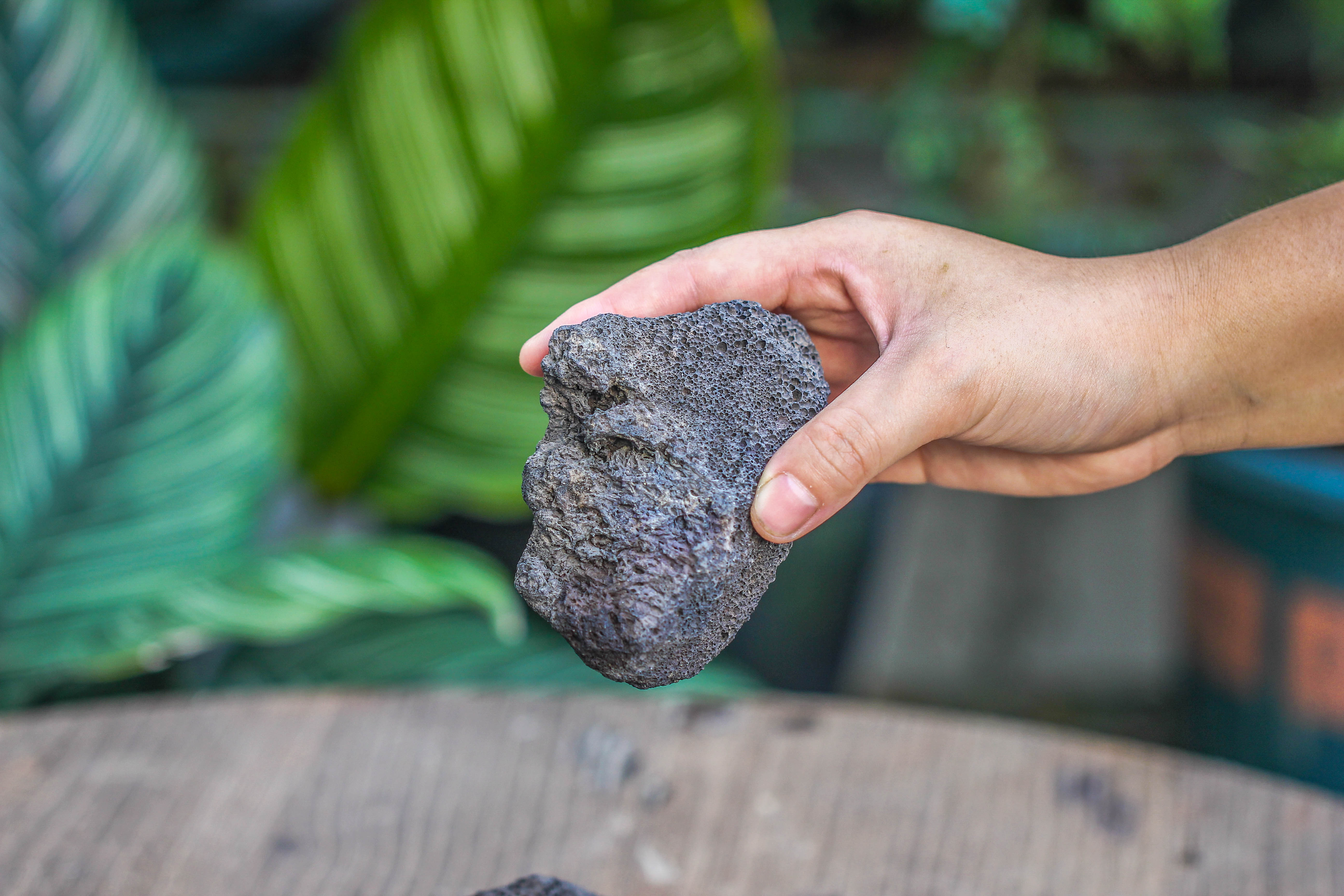5-8cm Black Horticultural Lava Rock Volcanic Rock for Terrarium, Bonsai Landscape, 500g - NCYPgarden