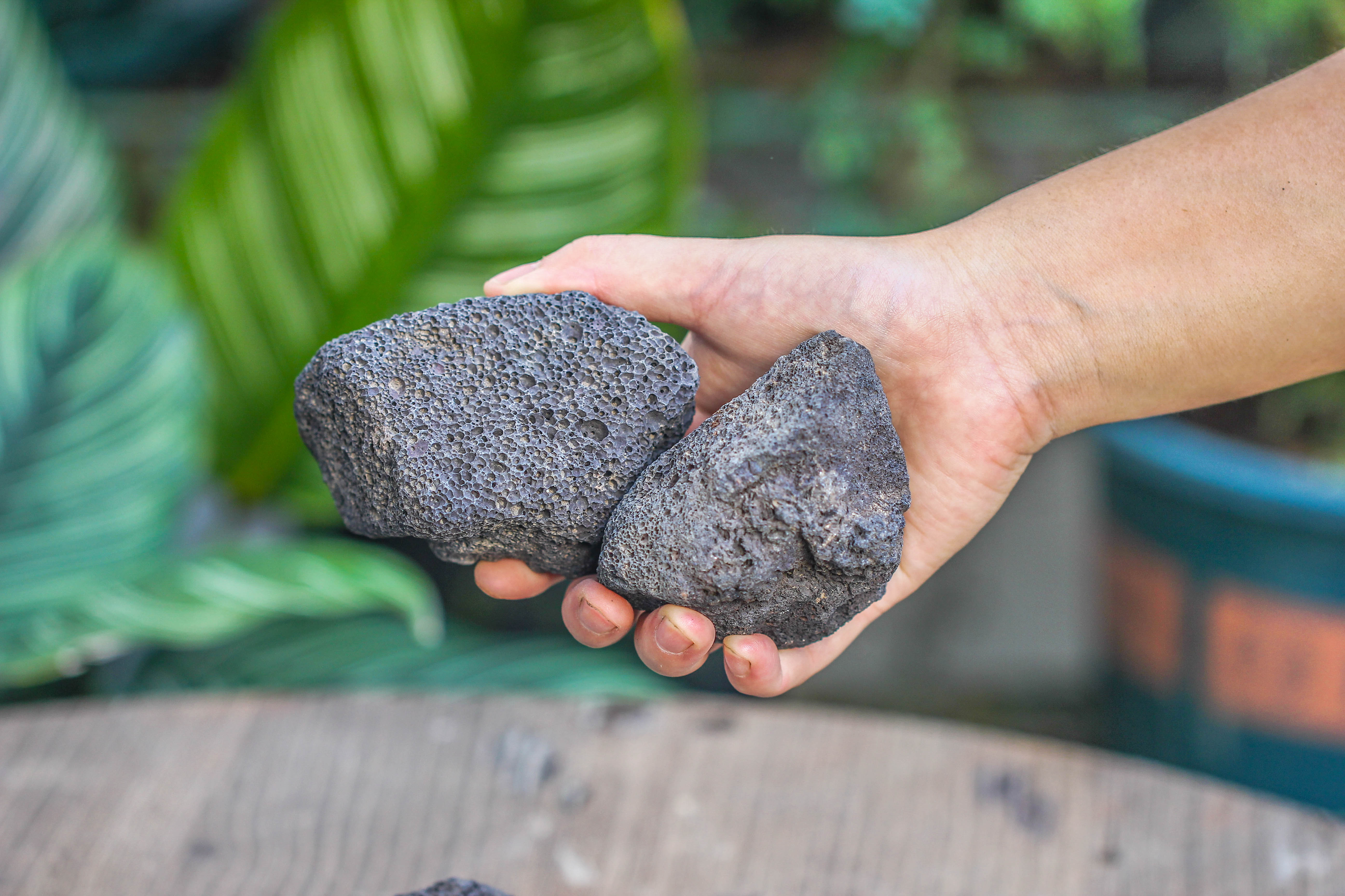 5-8cm Black Horticultural Lava Rock Volcanic Rock for Terrarium, Bonsai Landscape, 500g - NCYPgarden