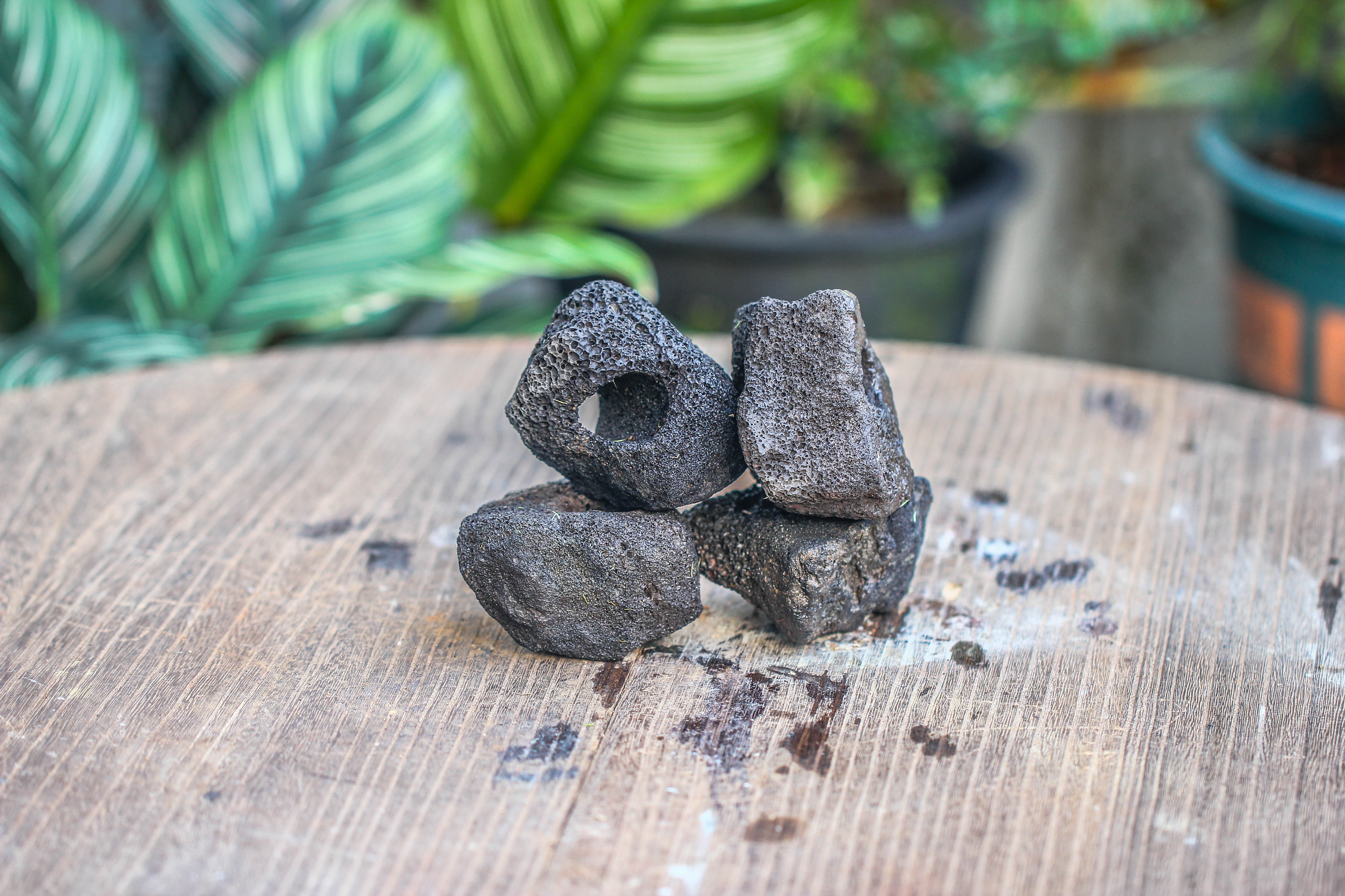 5-8cm Black Horticultural Lava Rock Volcanic Rock for Terrarium, Bonsai Landscape, 500g - NCYPgarden