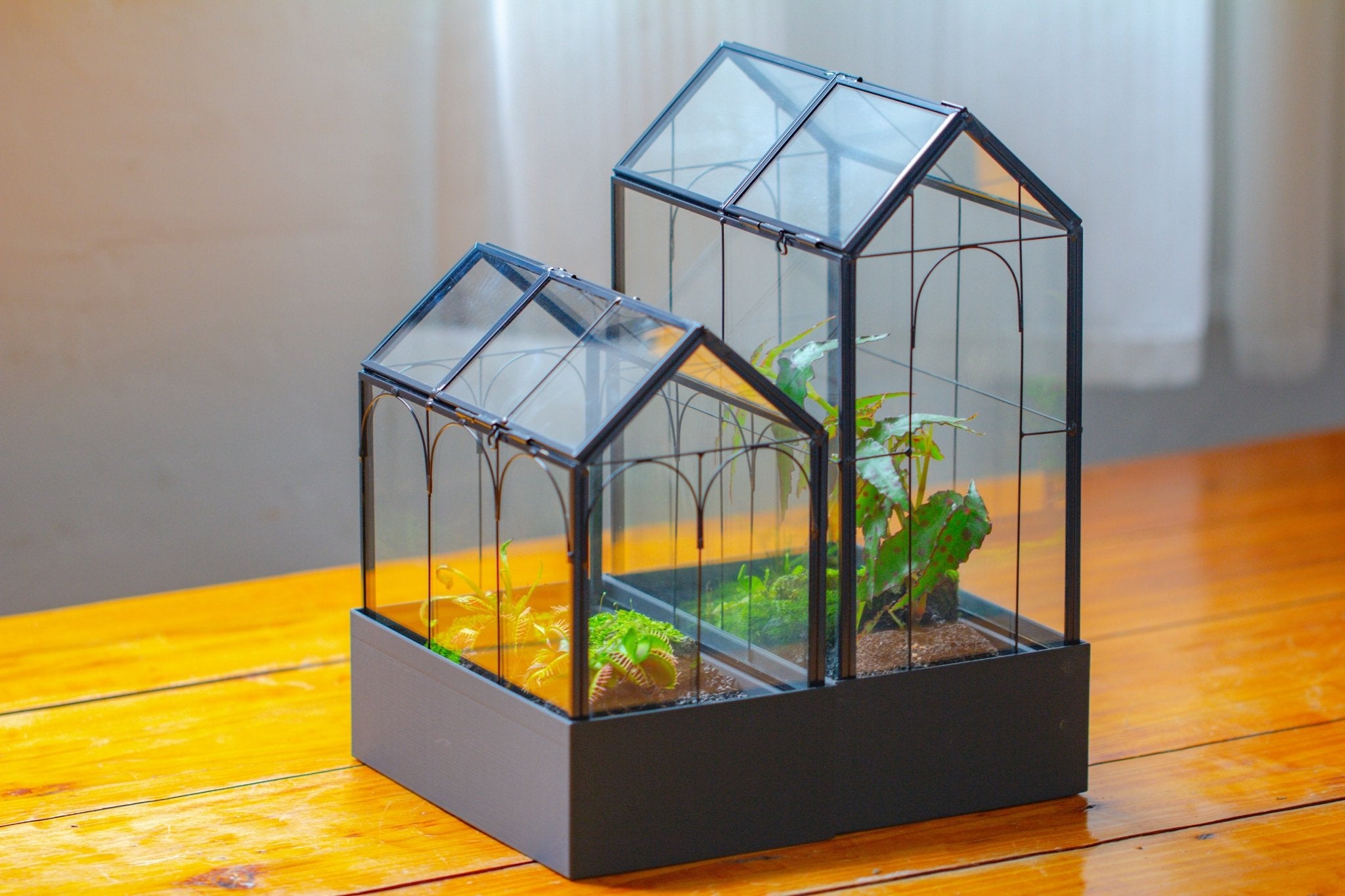 8" Vintage Greenhouse Glass Terrarium with Water - Holding Base and Top Door - NCYPgarden