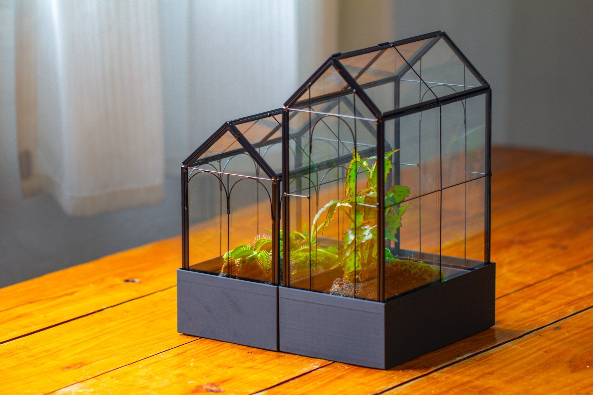8" Vintage Greenhouse Glass Terrarium with Water - Holding Base and Top Door - NCYPgarden